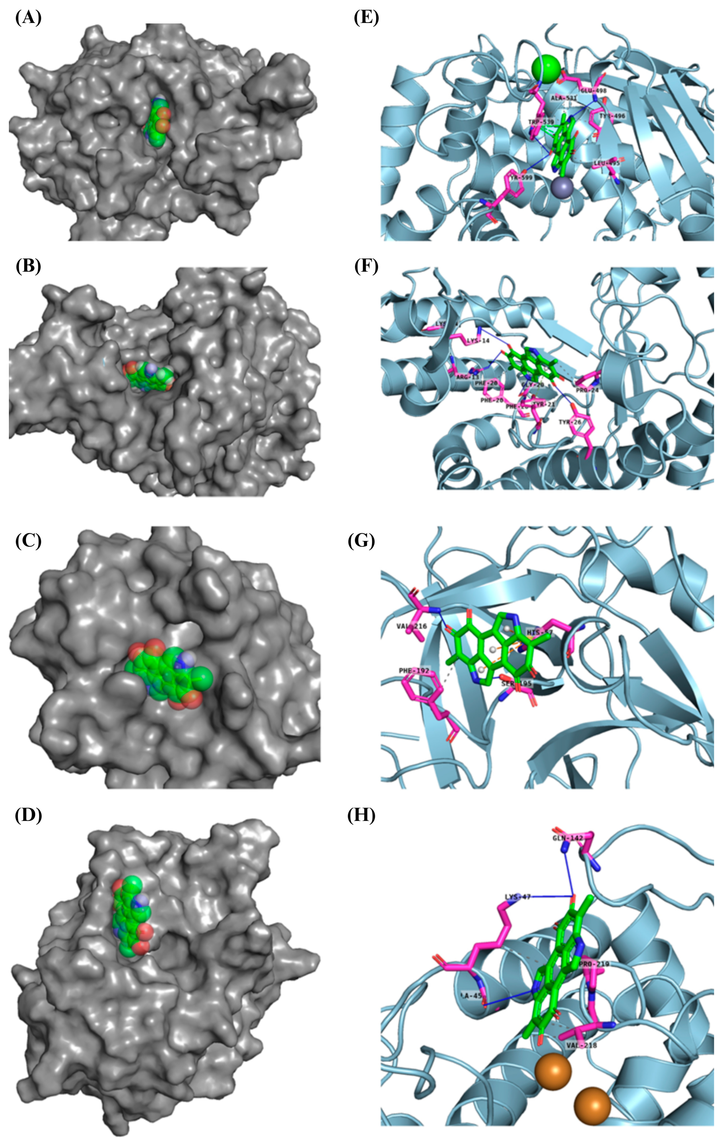 Membranes 15 00044 g011 Membranes 15 00044 g011