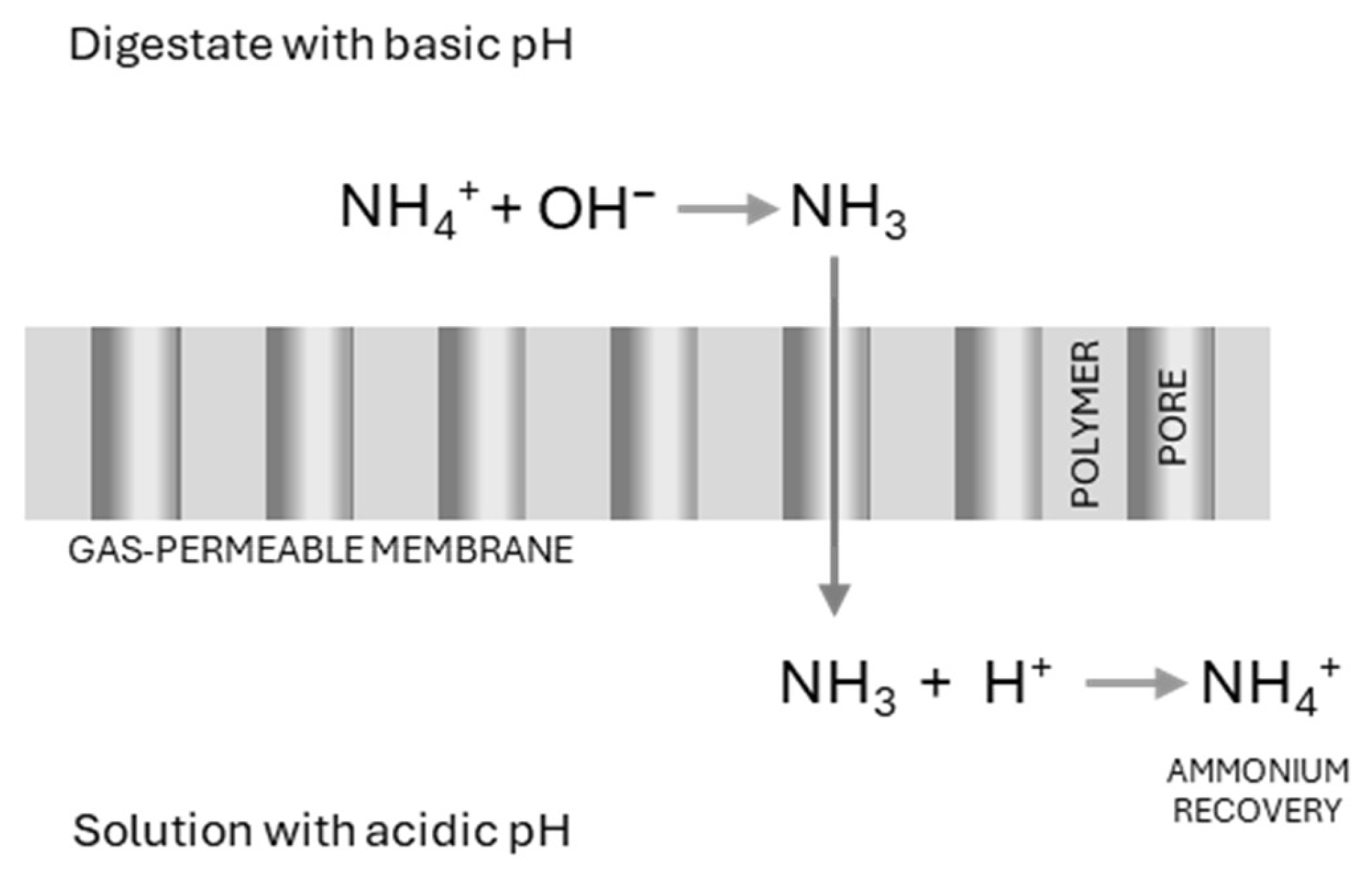 Membranes 15 00045 g001