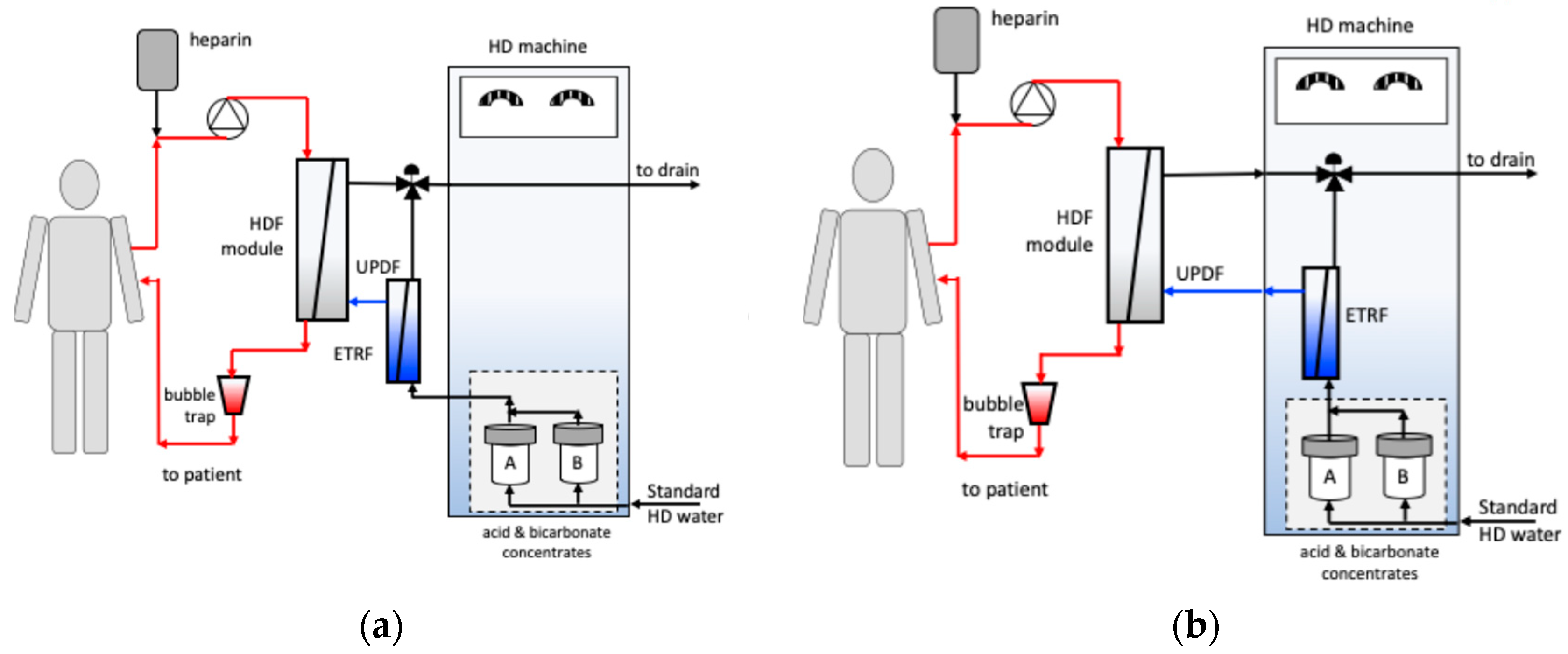 Membranes 15 00051 g001a