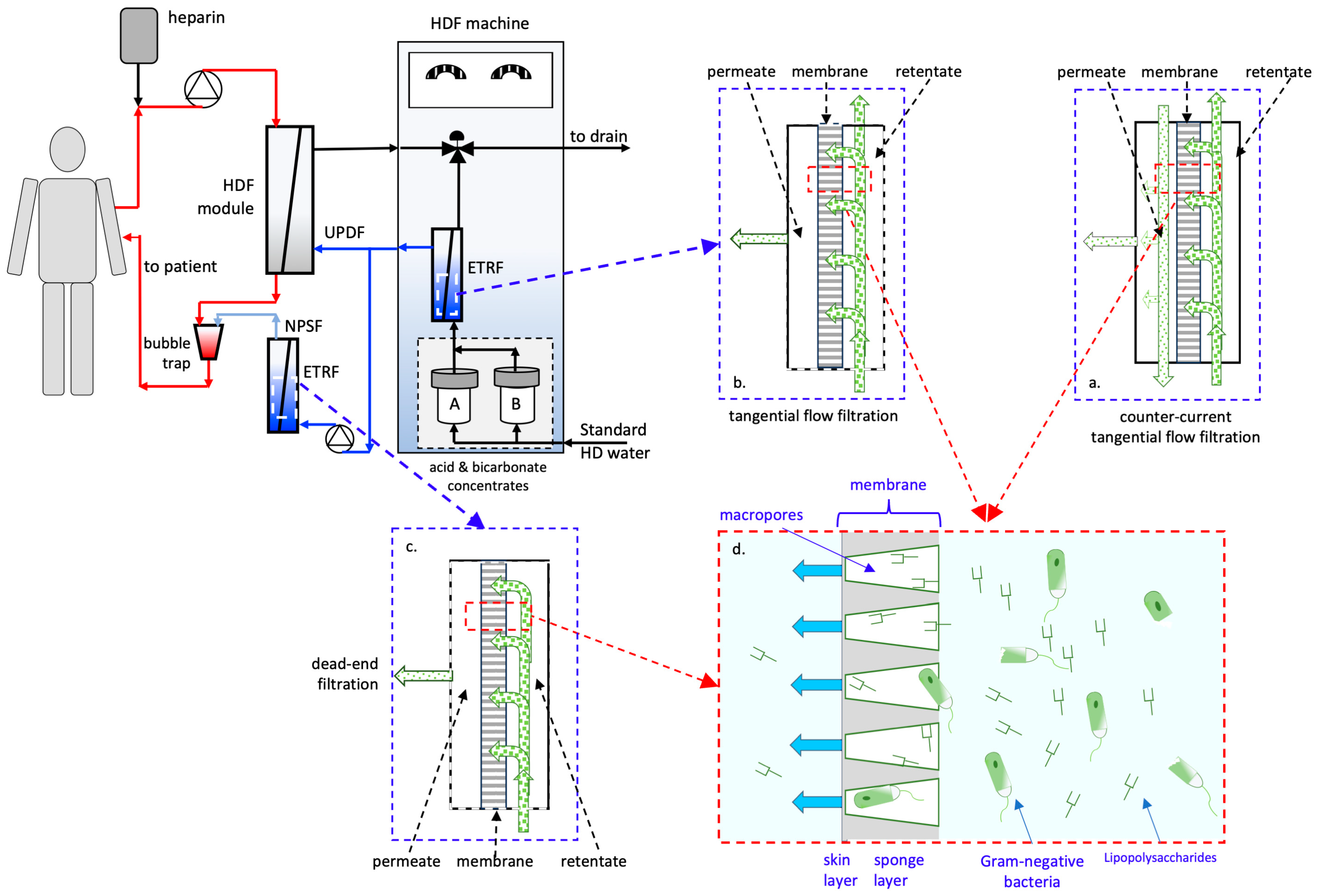 Membranes 15 00051 g002