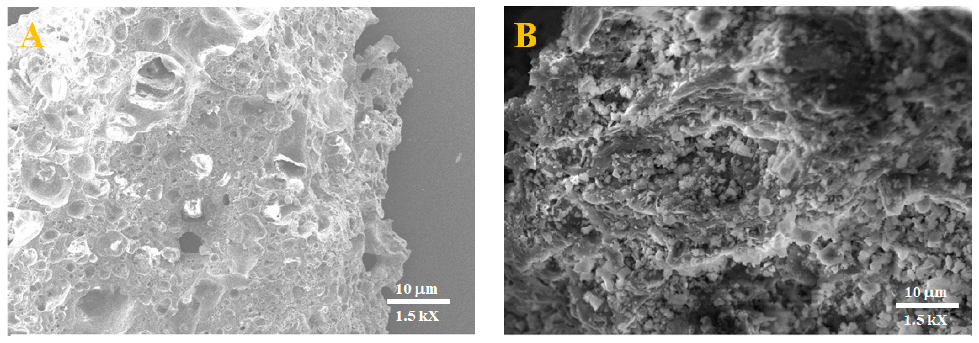 Membranes 15 00052 g005