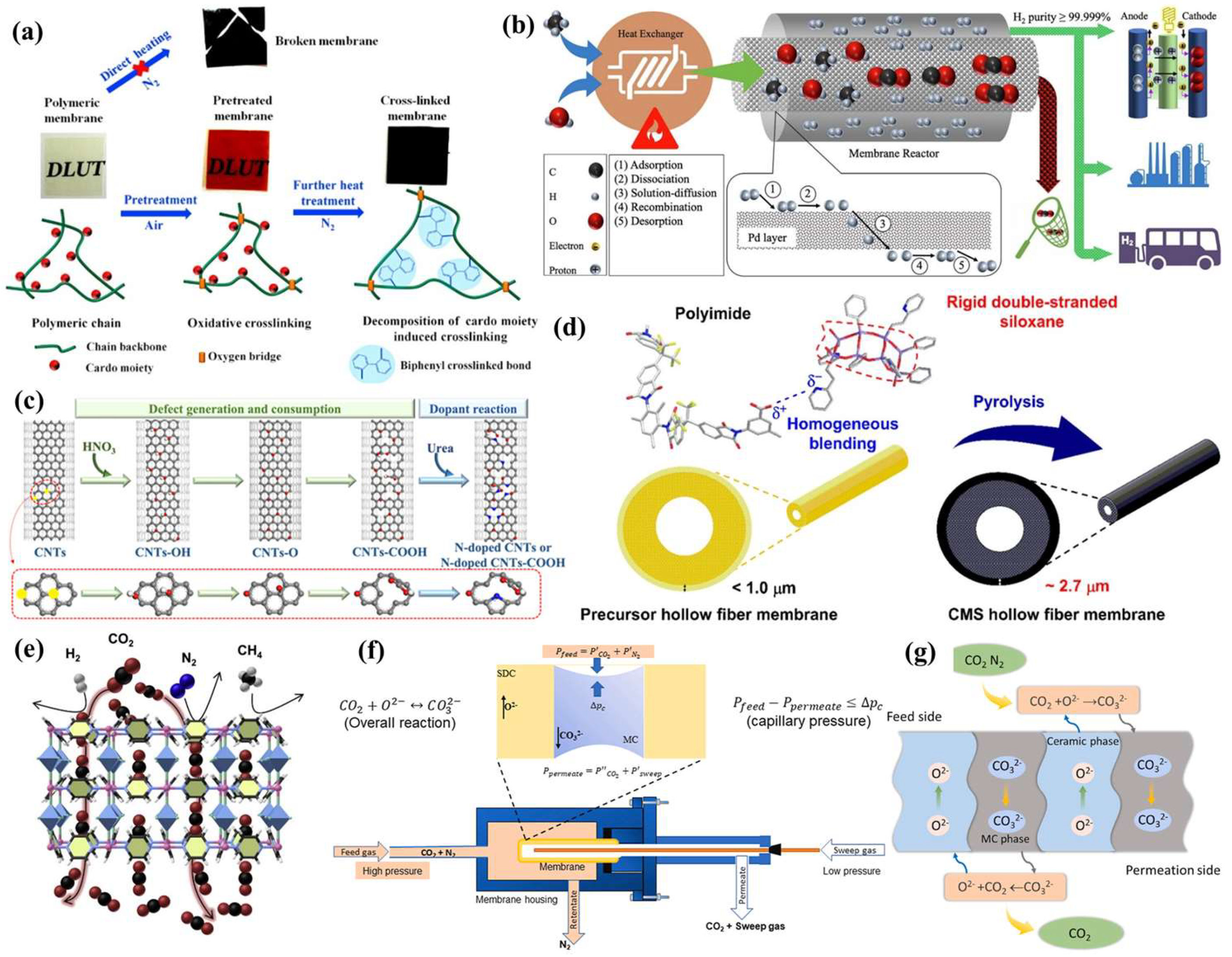 Membranes 15 00053 g003