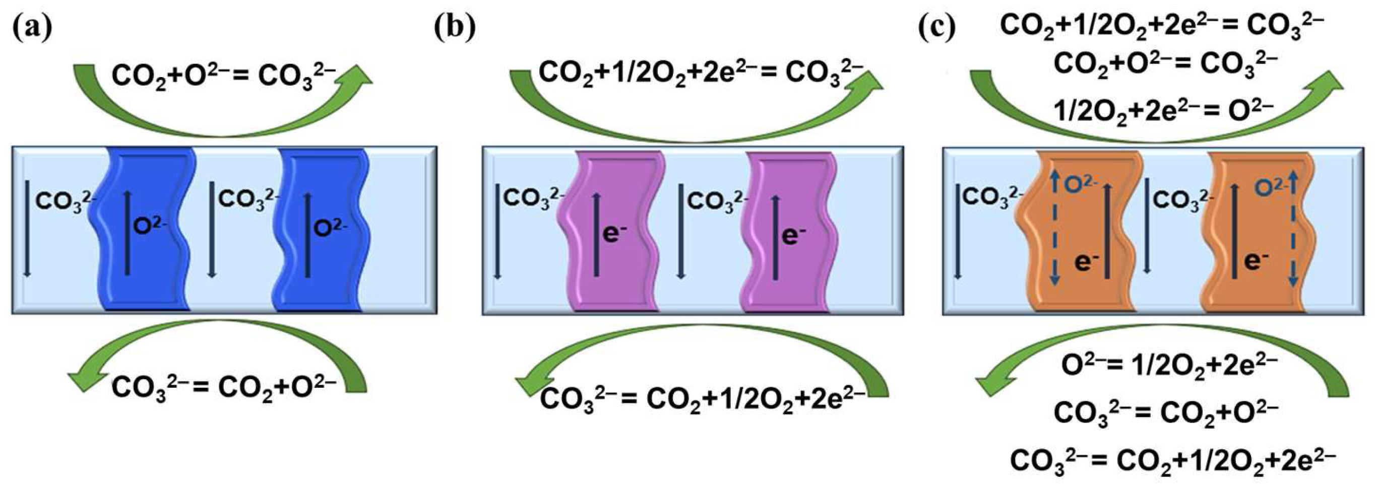 Membranes 15 00053 g004