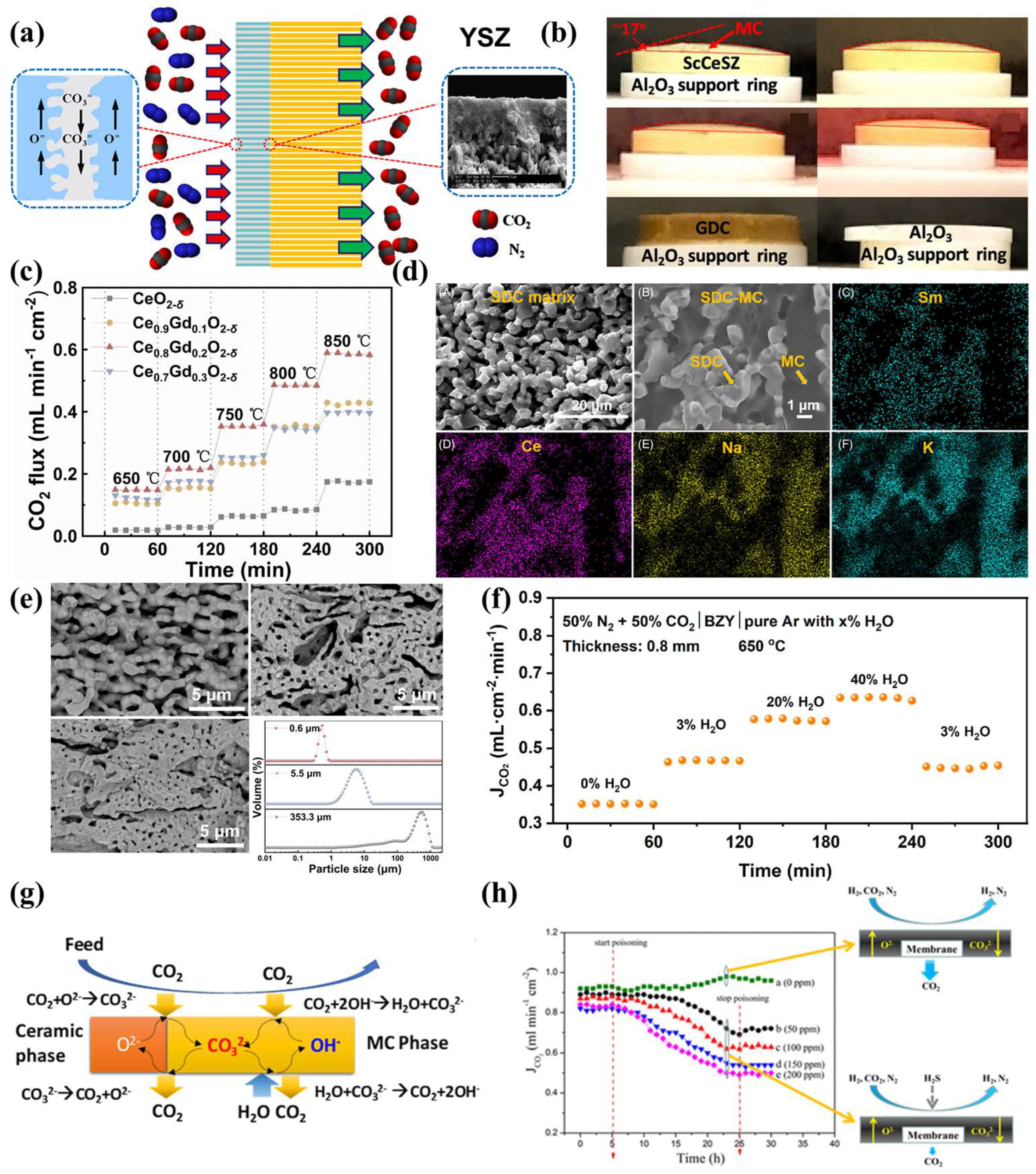 Membranes 15 00053 g005