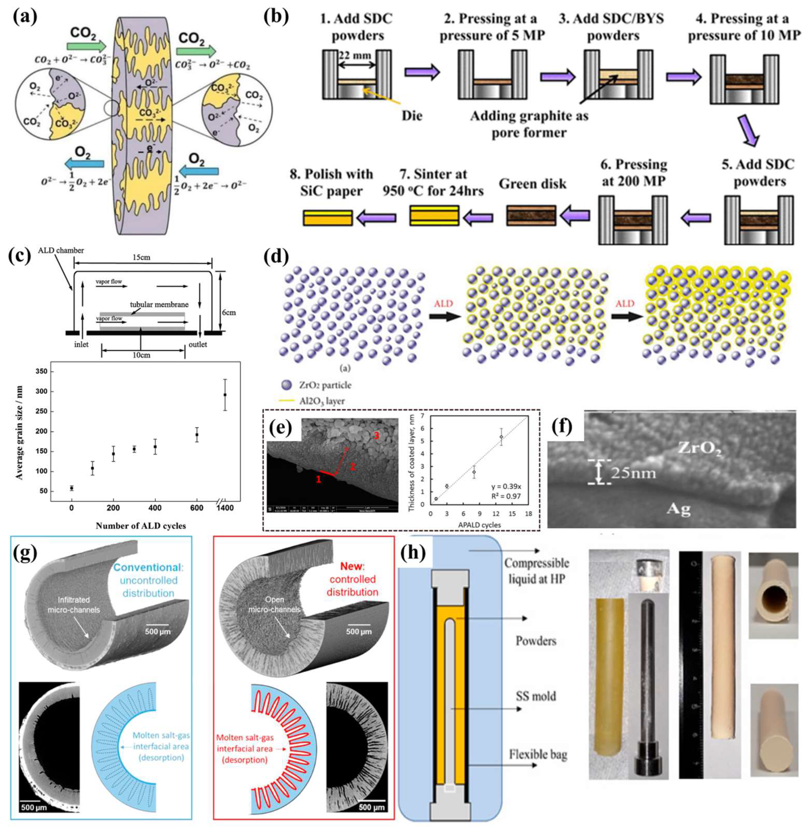 Membranes 15 00053 g006