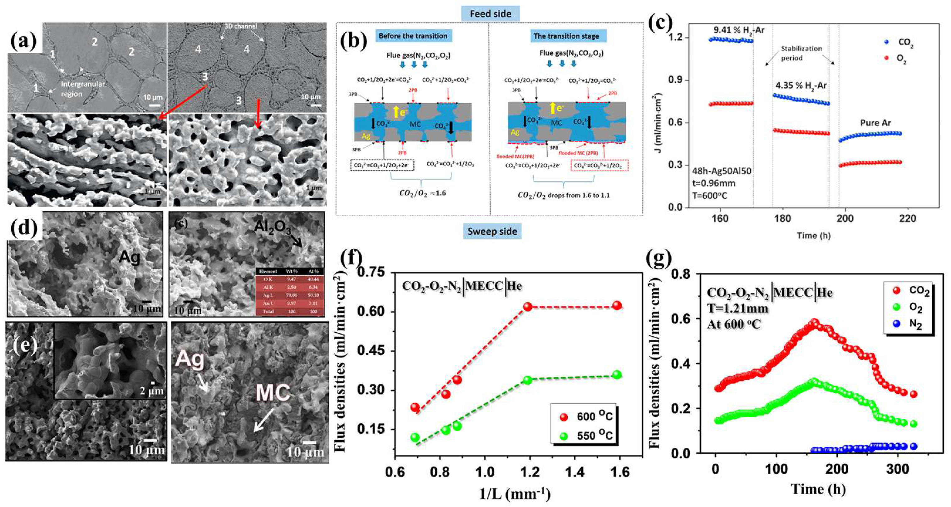 Membranes 15 00053 g007