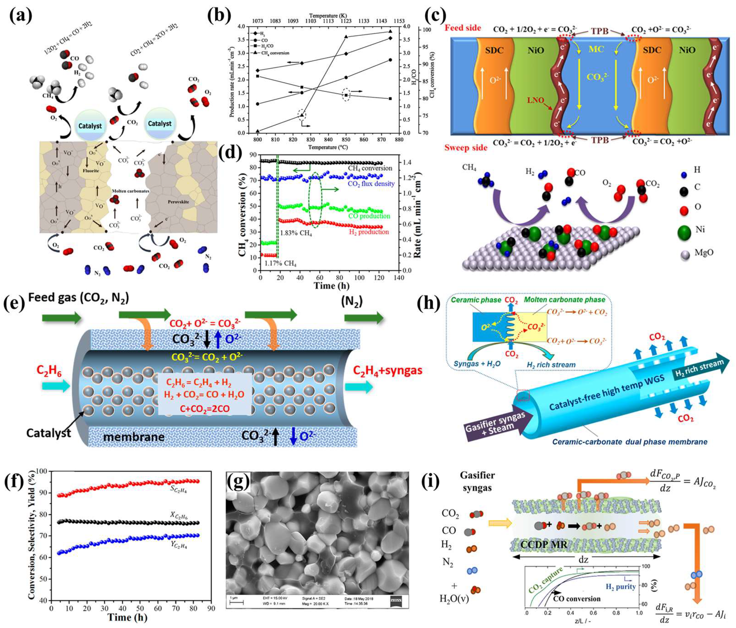 Membranes 15 00053 g009