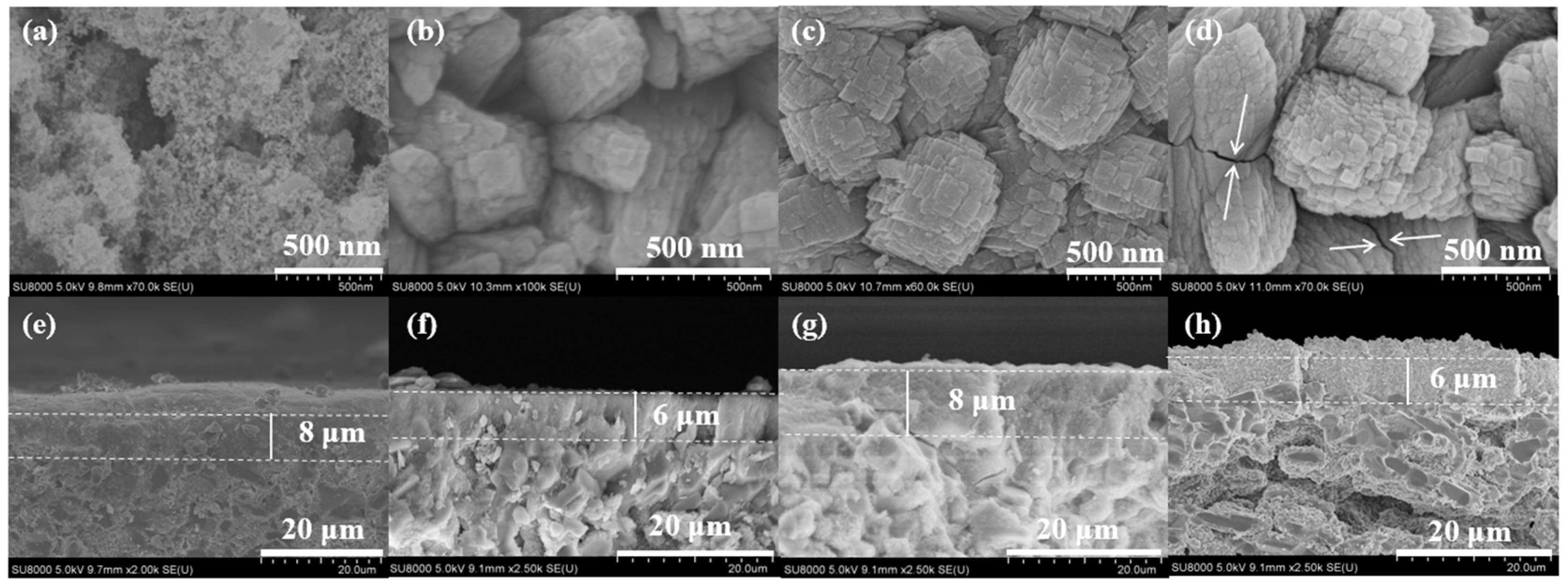 Membranes 15 00054 g004