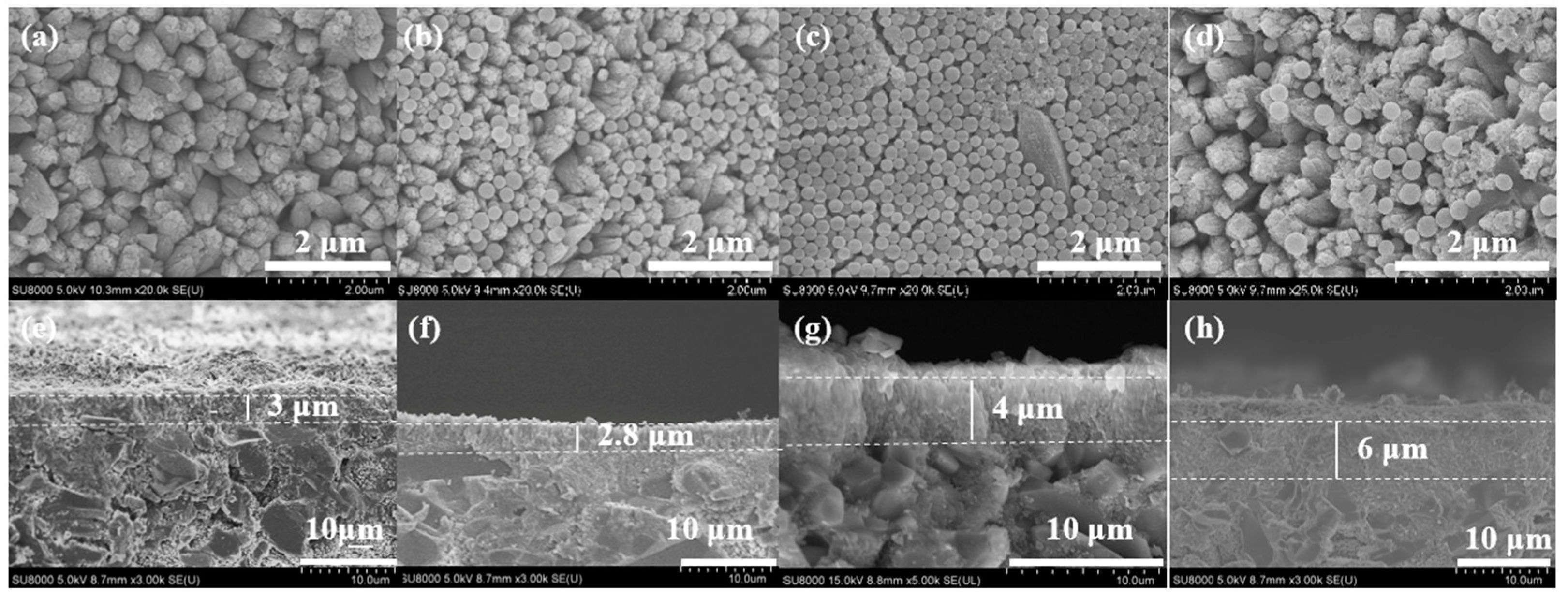 Membranes 15 00054 g010