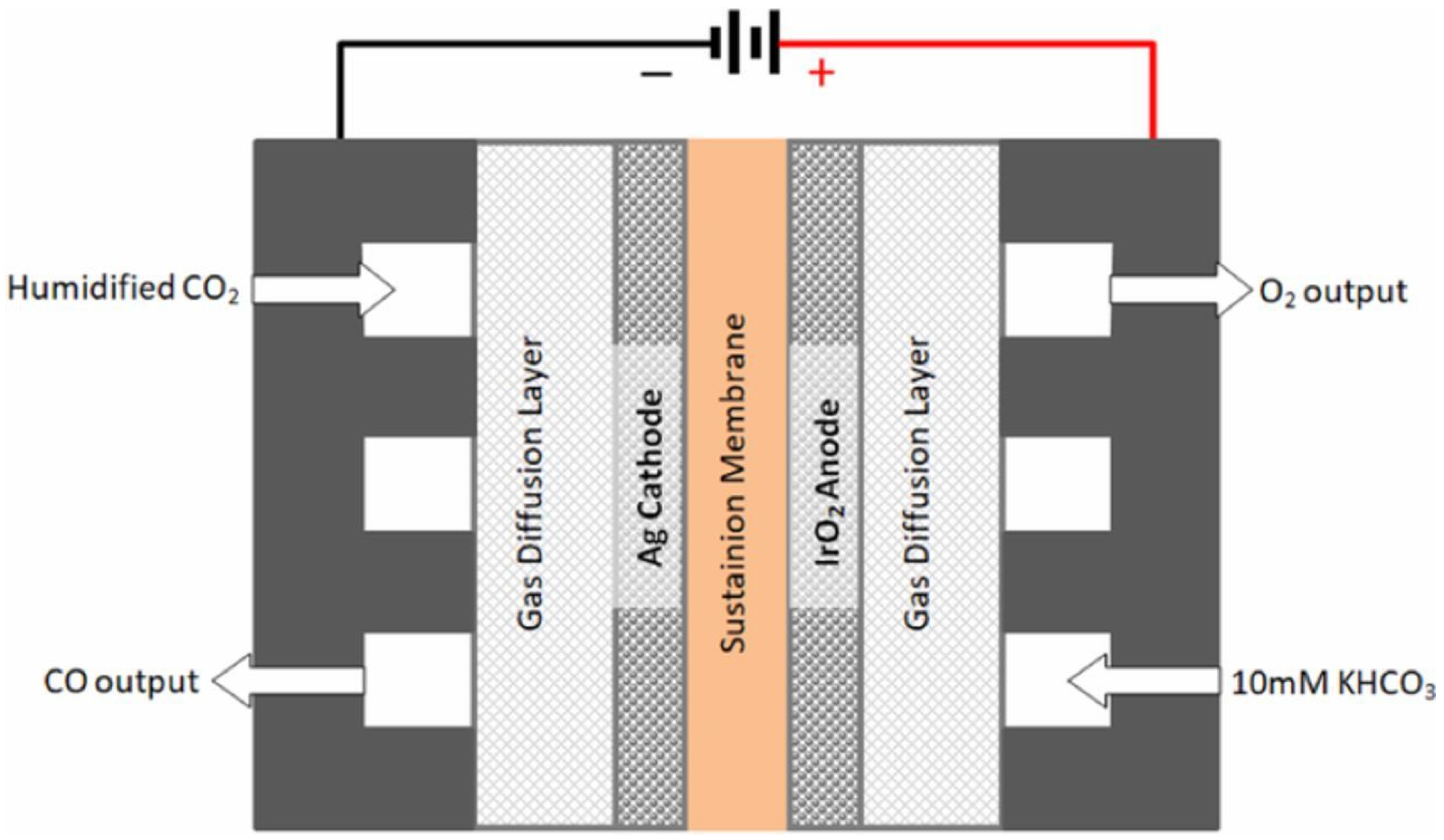 Membranes 15 00055 g002