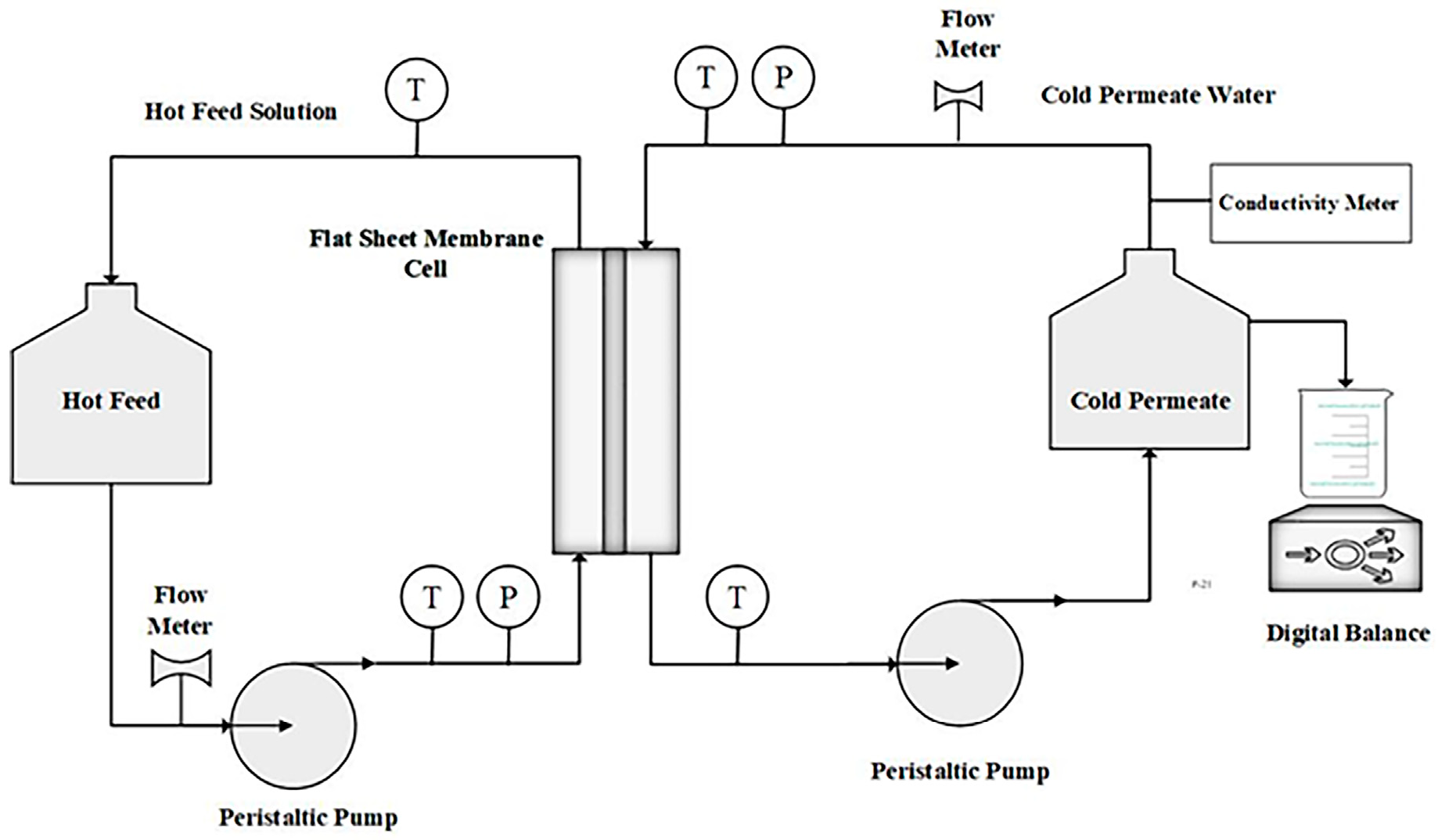 Membranes 15 00063 g004