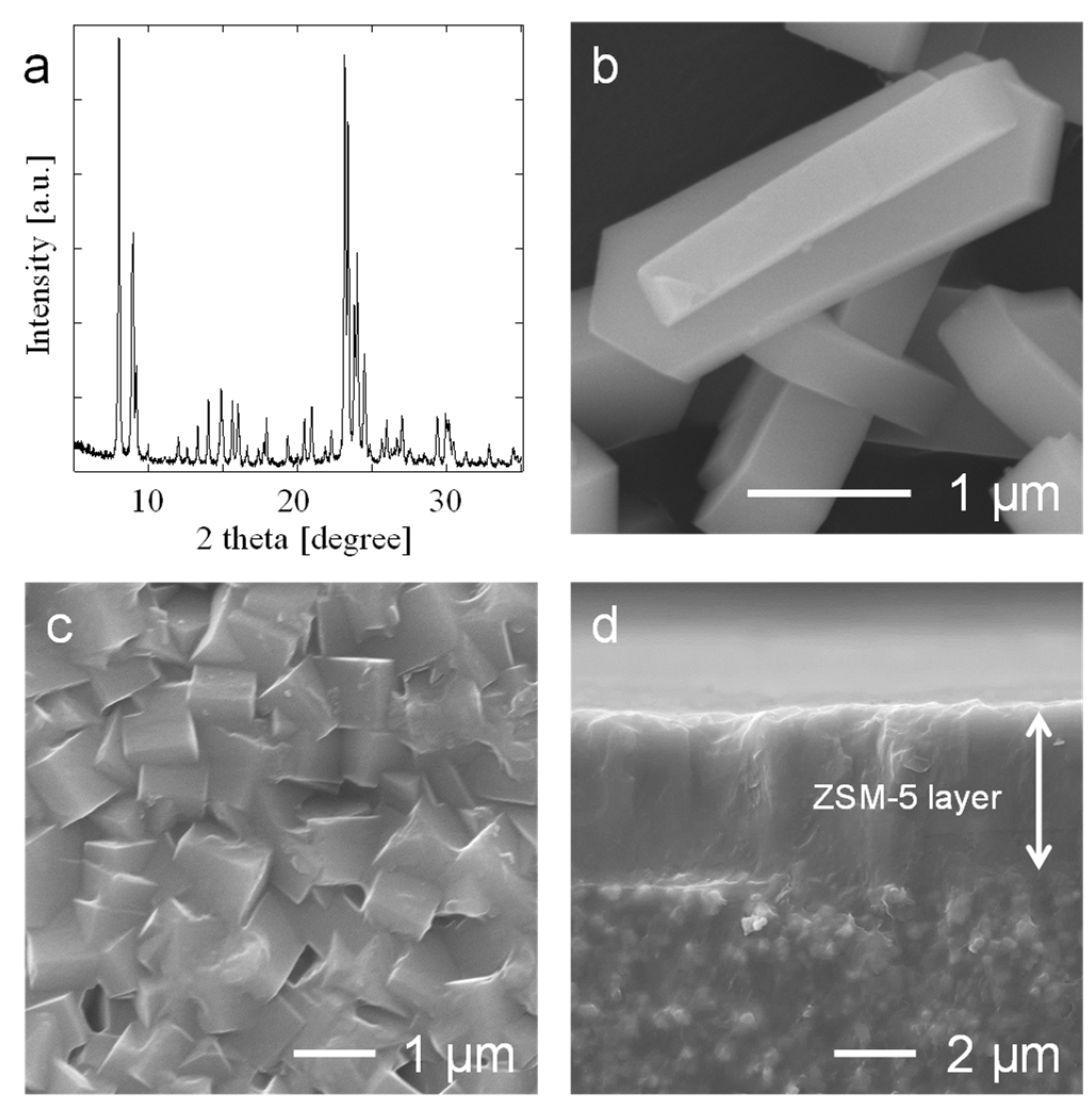 Membranes 15 00070 g001