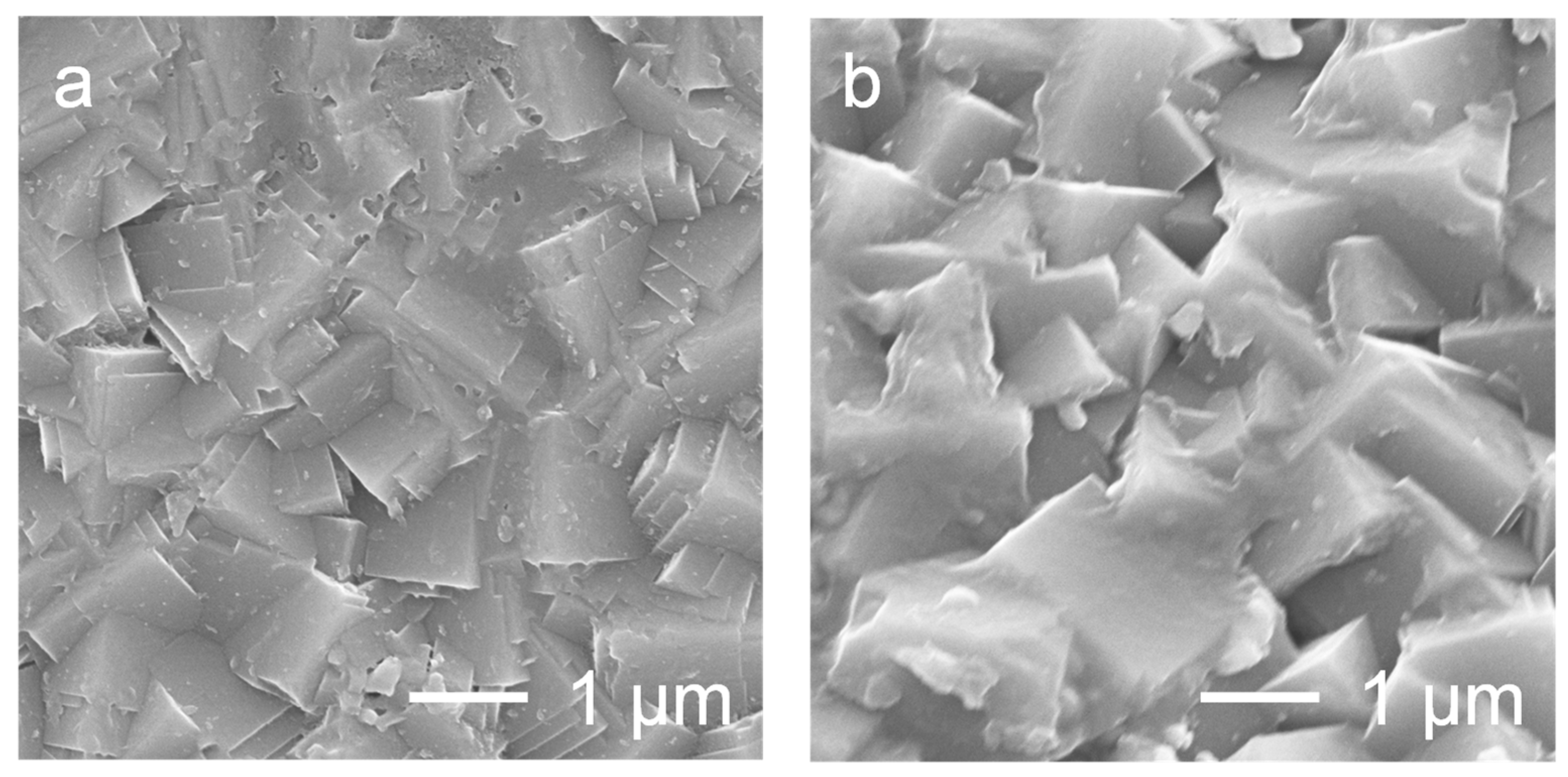 Membranes 15 00070 g008