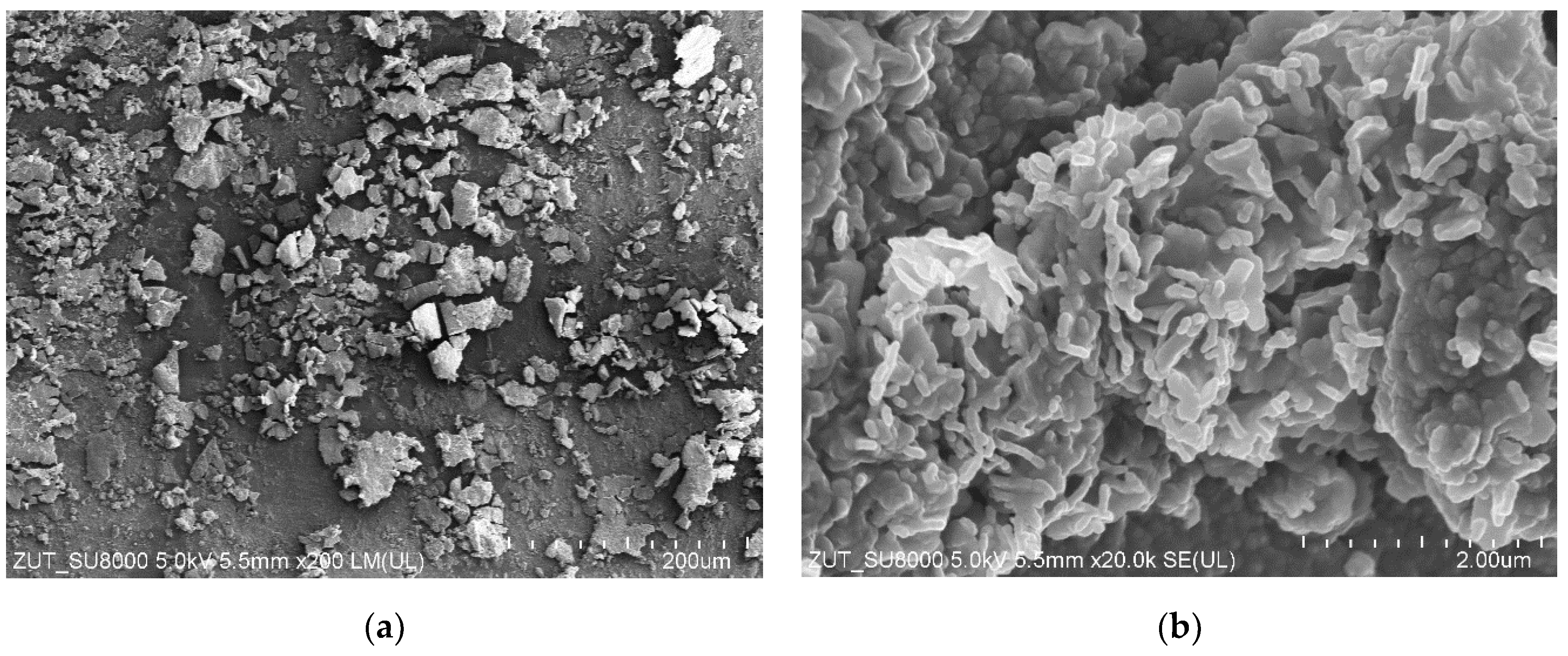 Membranes 15 00071 g013