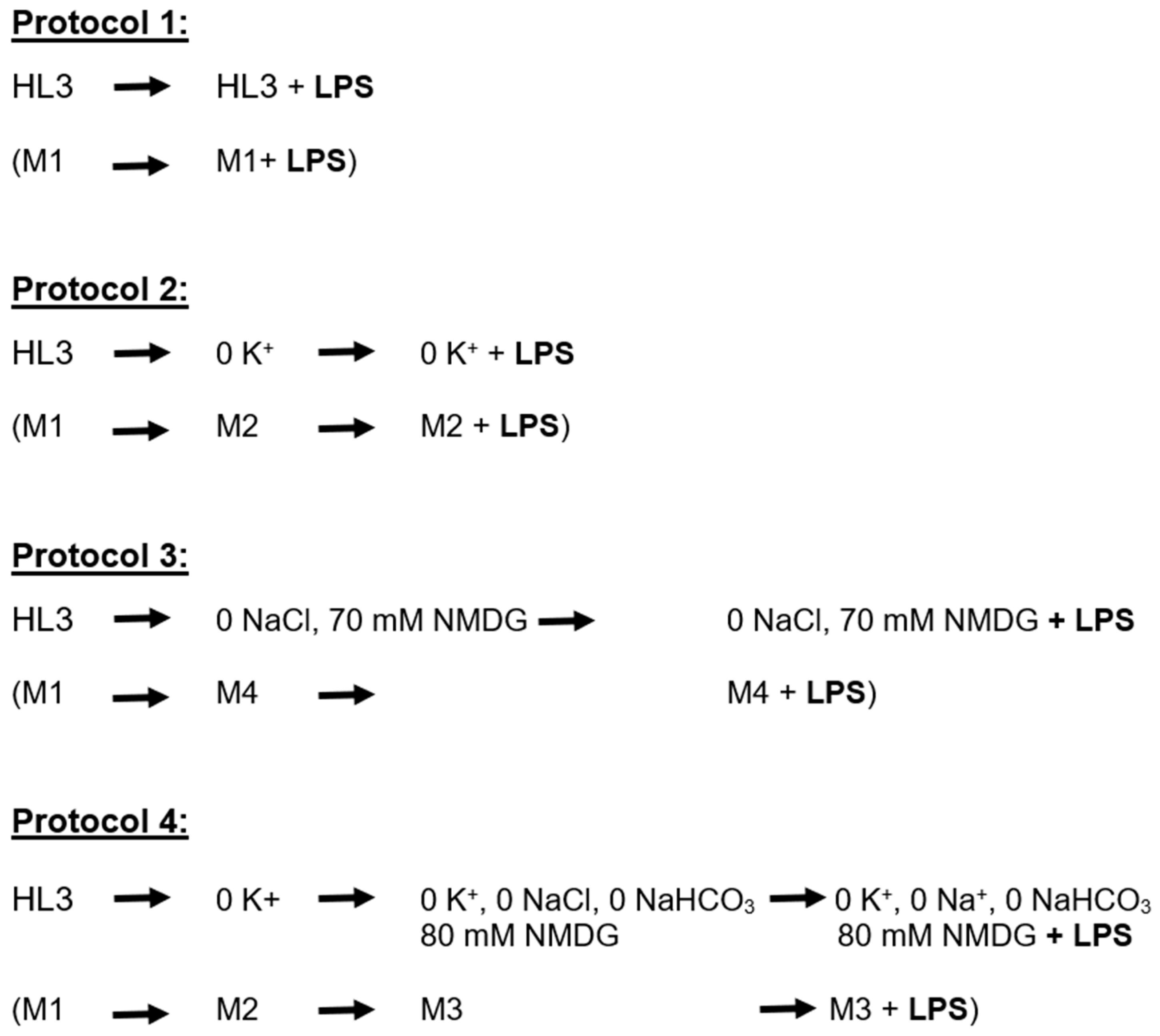 Membranes 15 00074 g001