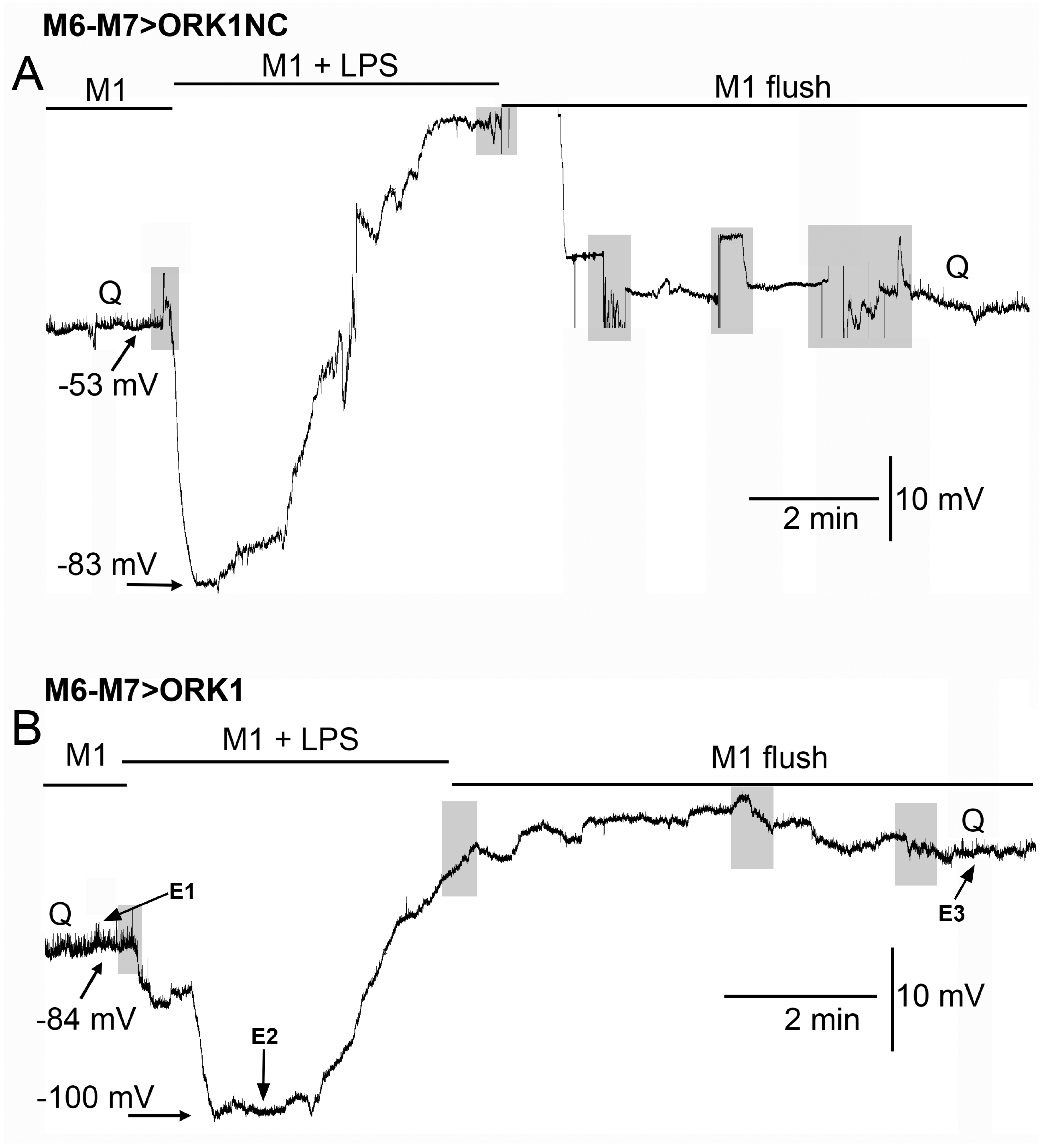 Membranes 15 00074 g003a