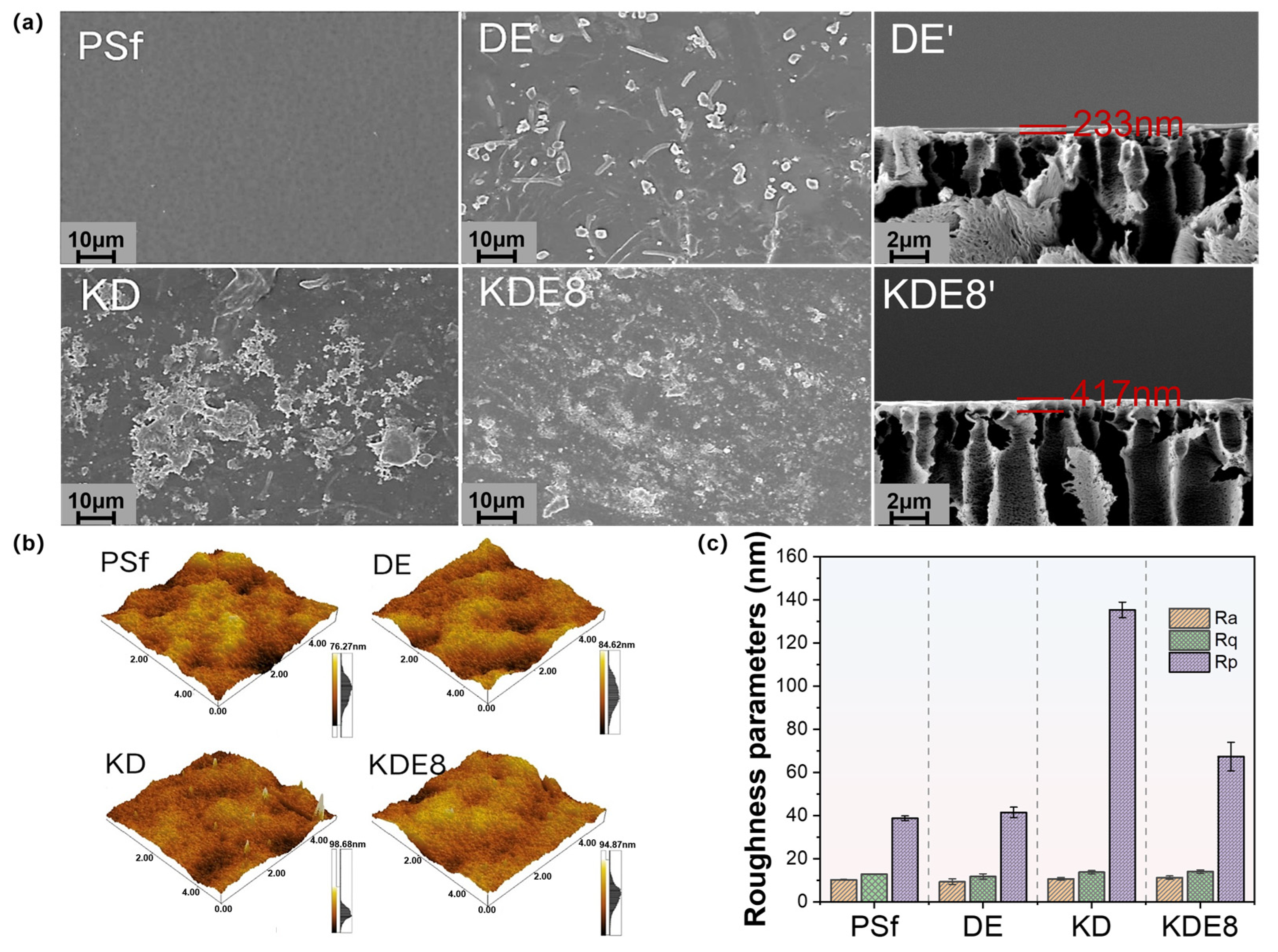 Membranes 15 00075 g004