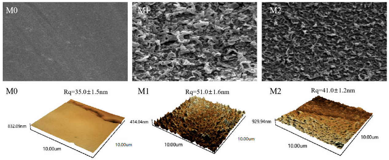 Membranes 15 00077 g008