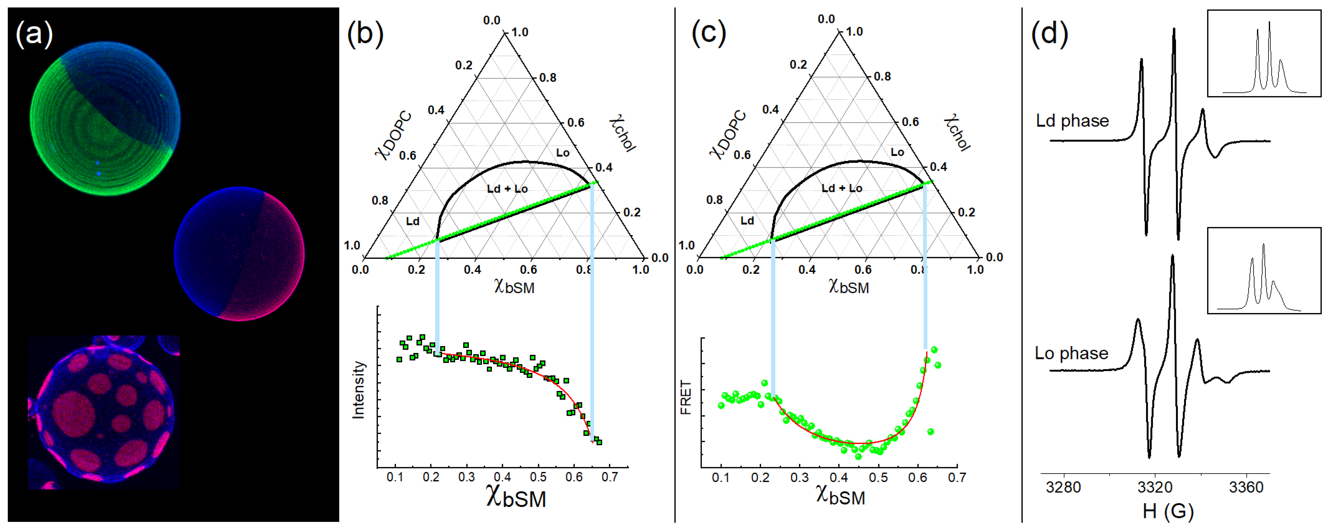 Membranes 15 00079 g003