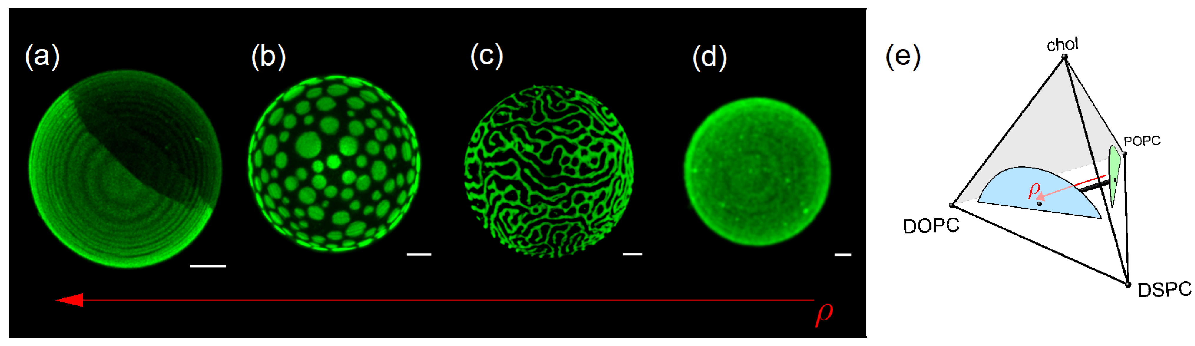 Membranes 15 00079 g004