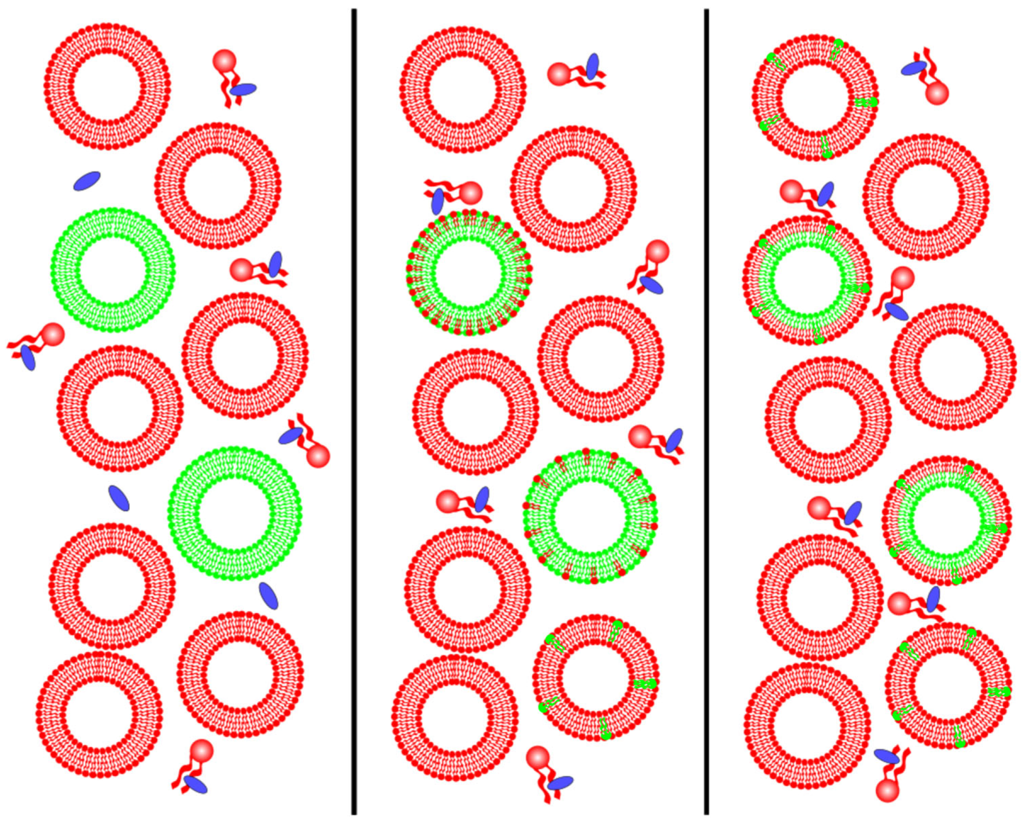 Membranes 15 00079 g008