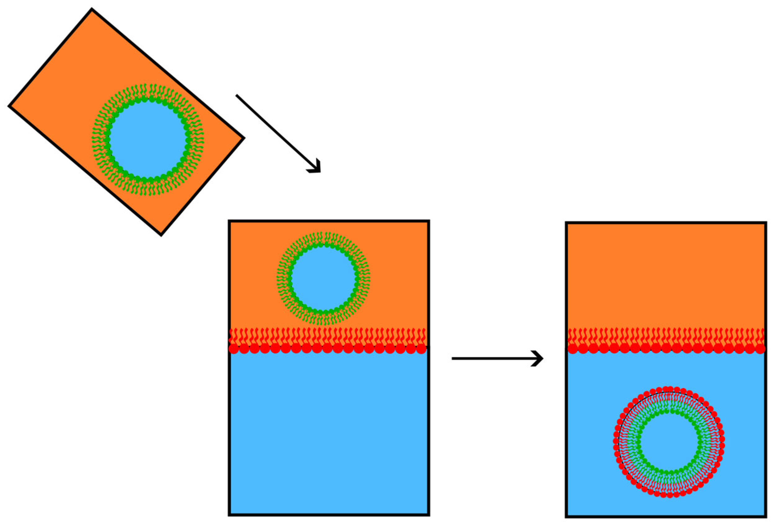 Membranes 15 00079 g009