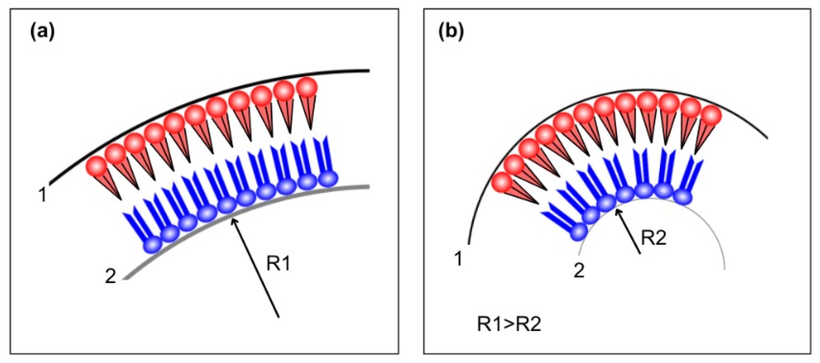 Membranes 15 00079 g014