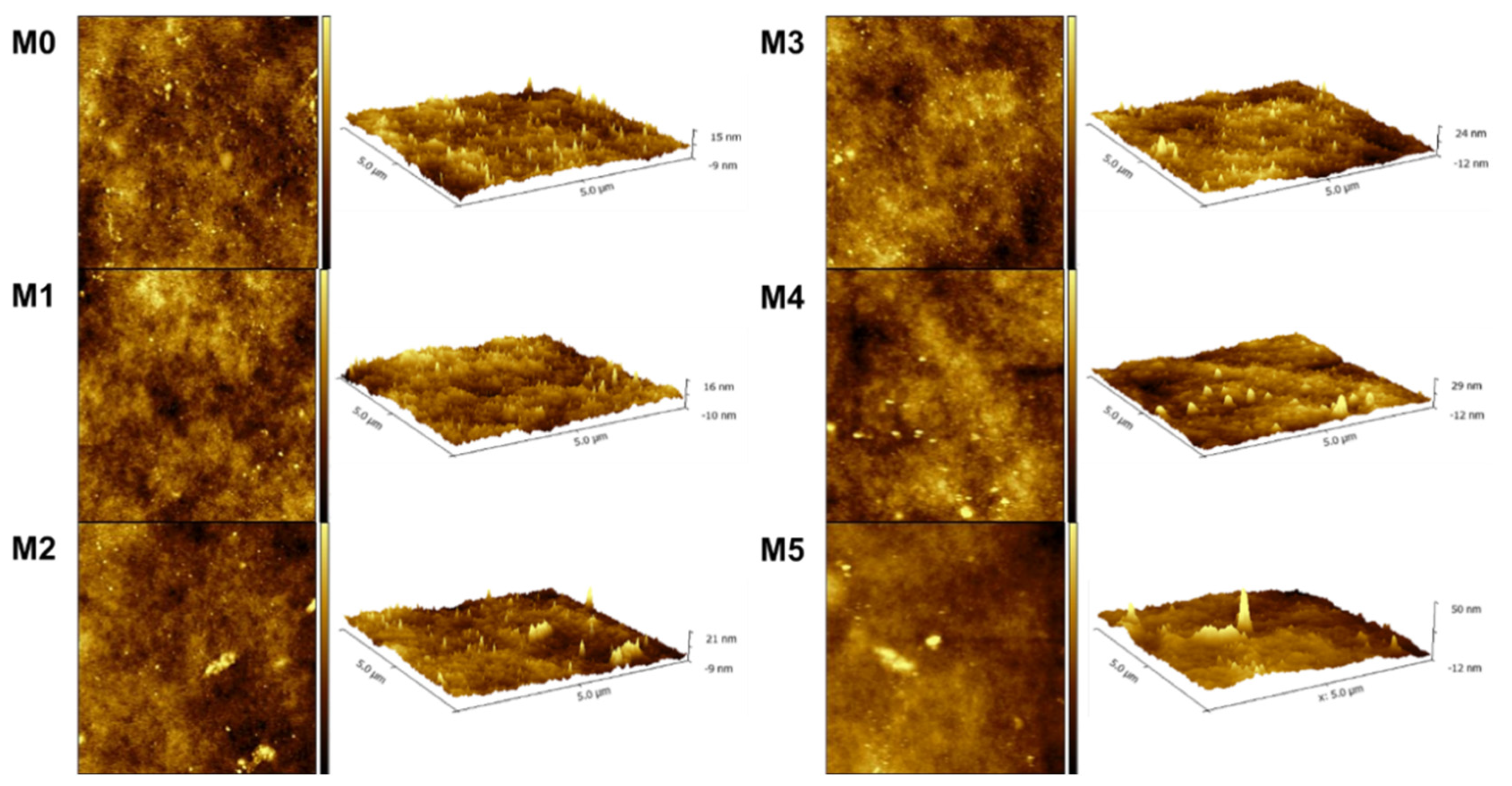 Membranes 15 00084 g004