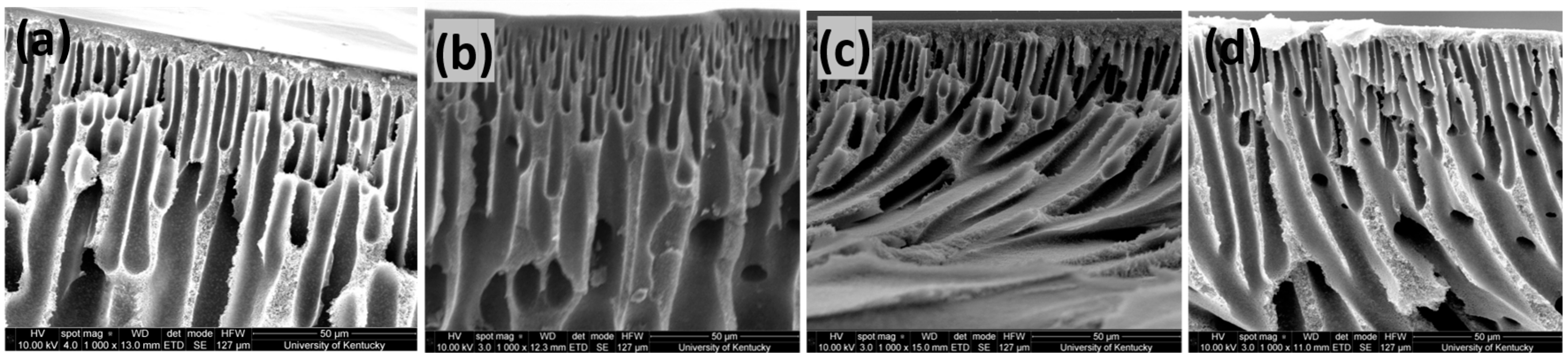 Membranes 15 00087 g004 Membranes 15 00087 g004