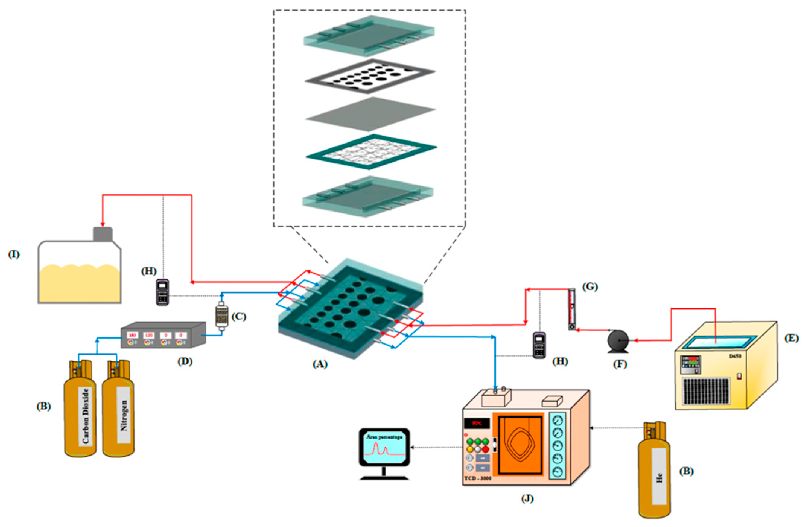 Membranes 15 00088 g001