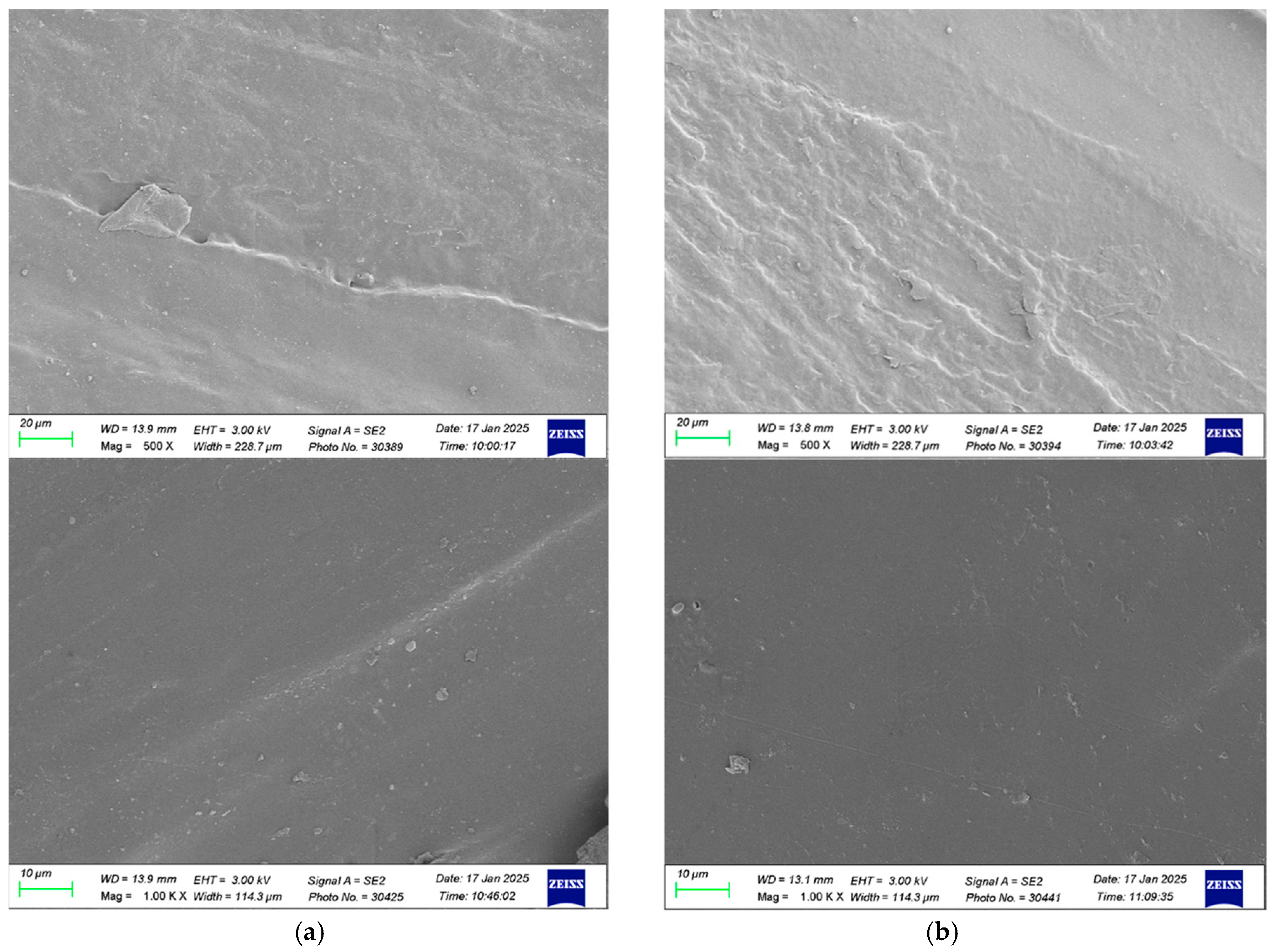 Membranes 15 00088 g004