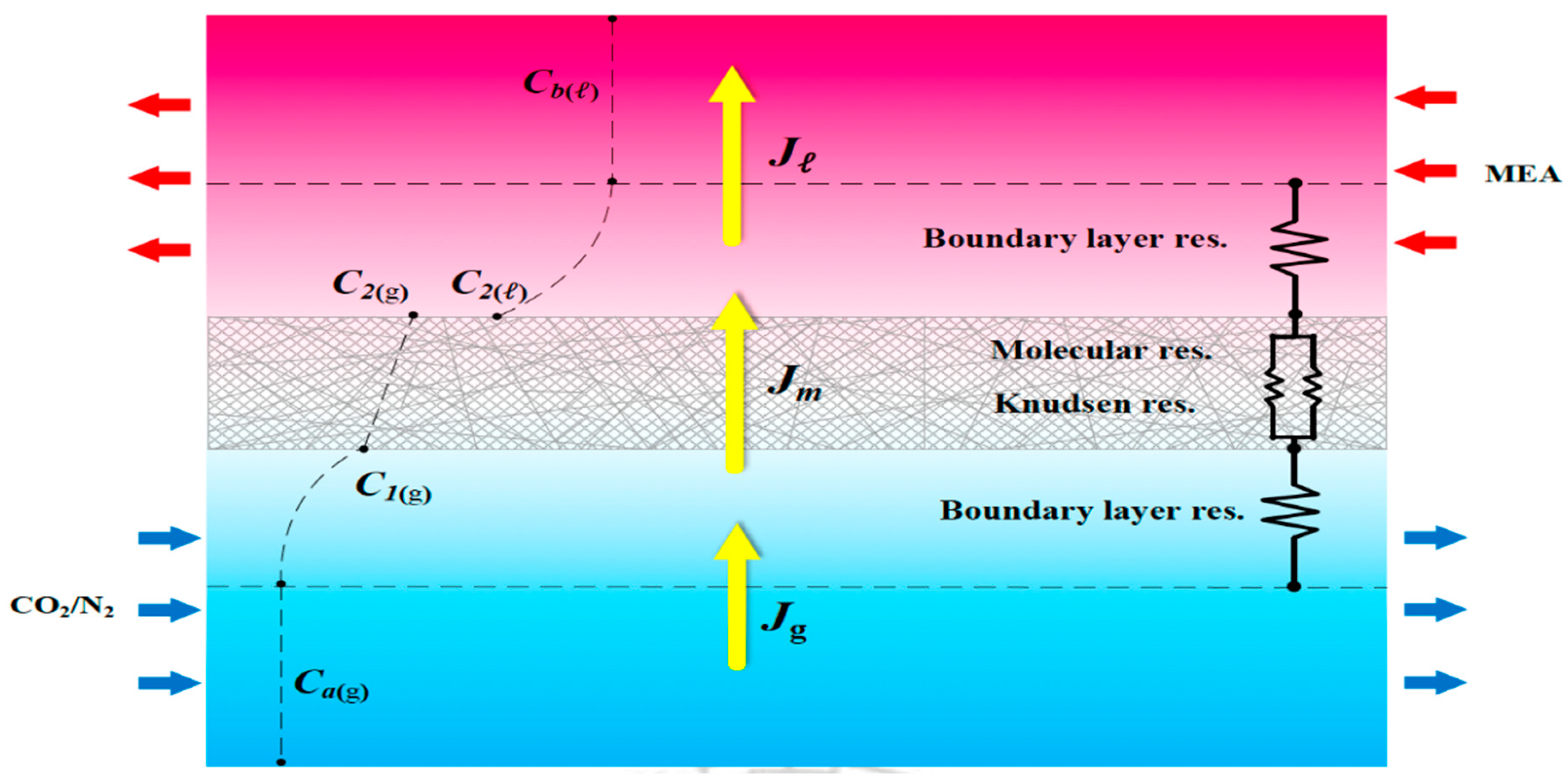 Membranes 15 00088 g008