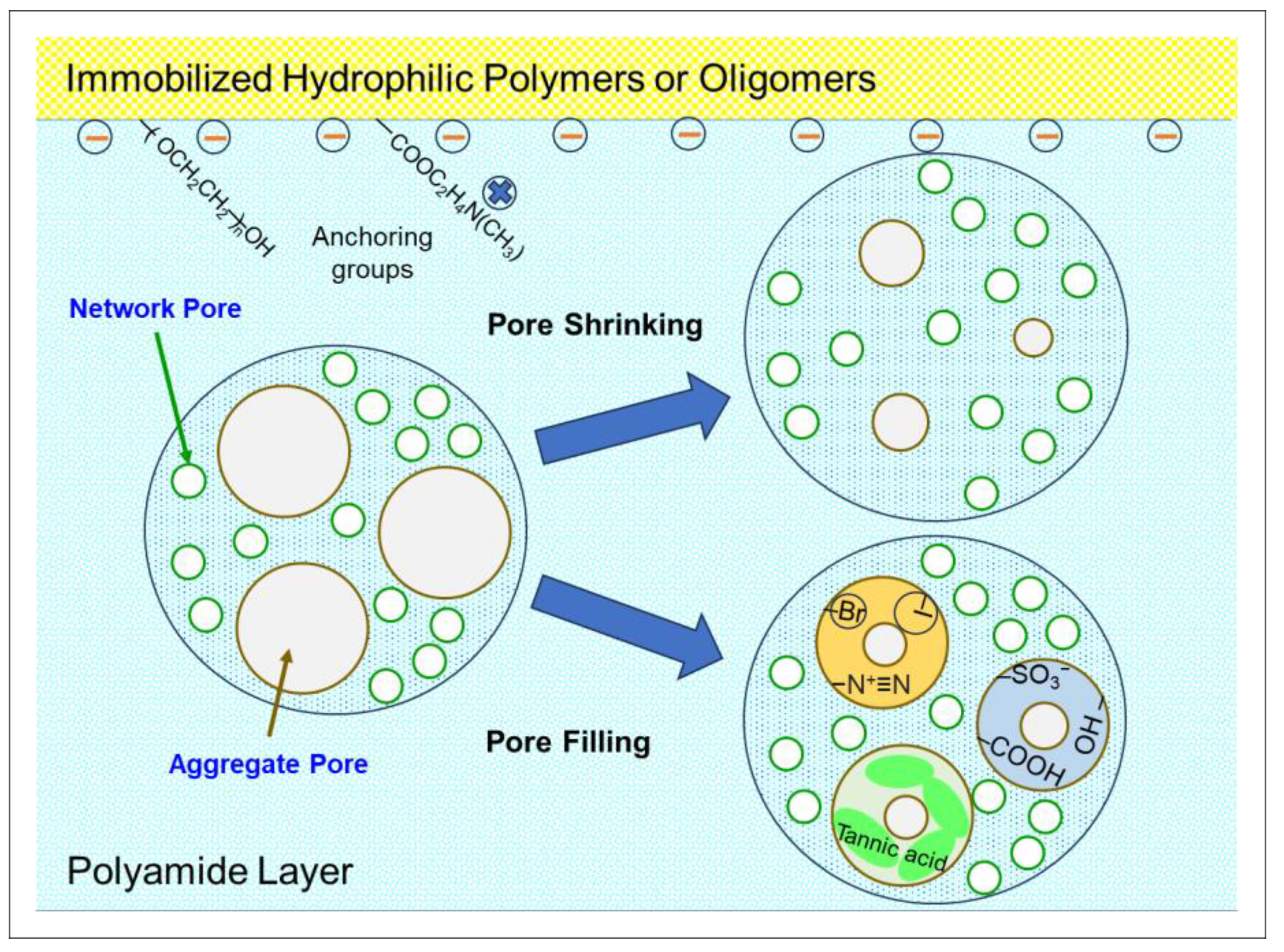 Membranes 15 00094 g005