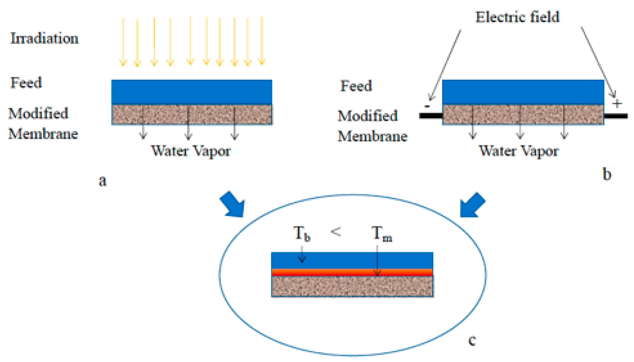 Membranes 15 00098 g018