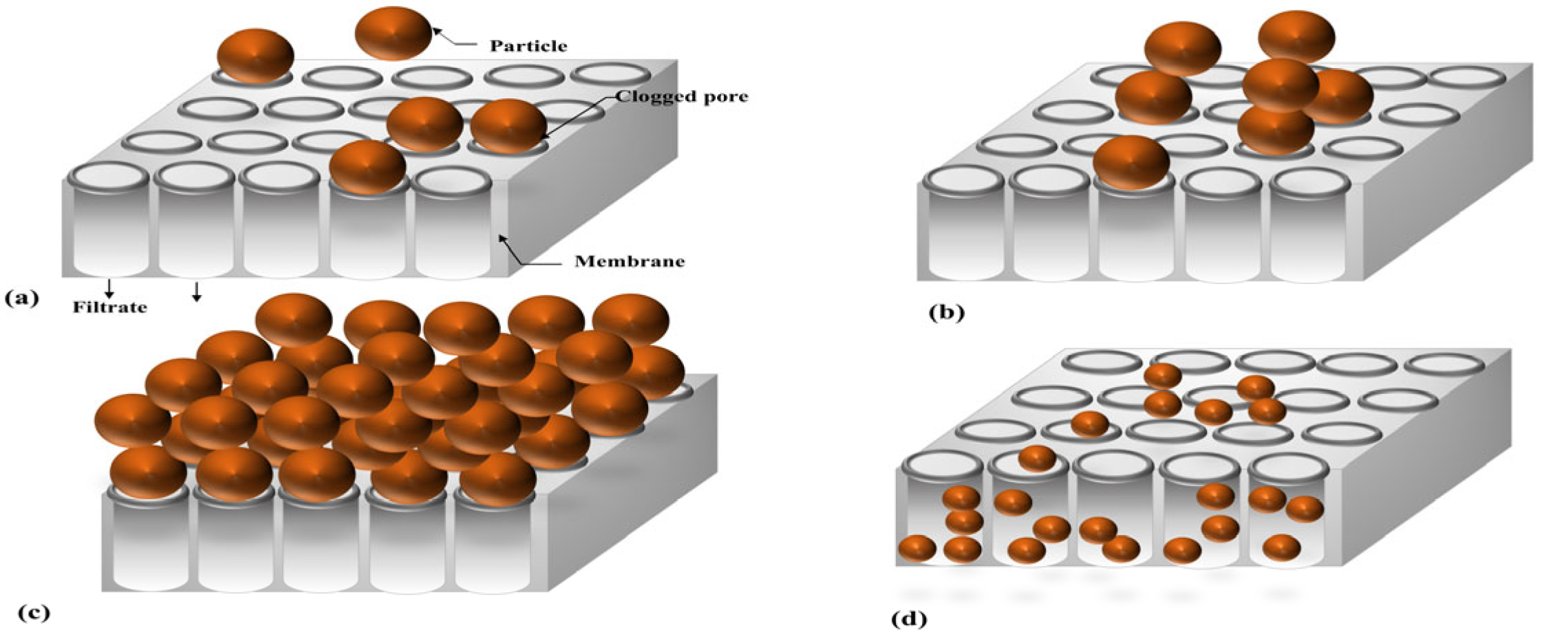 Membranes 15 00099 g001
