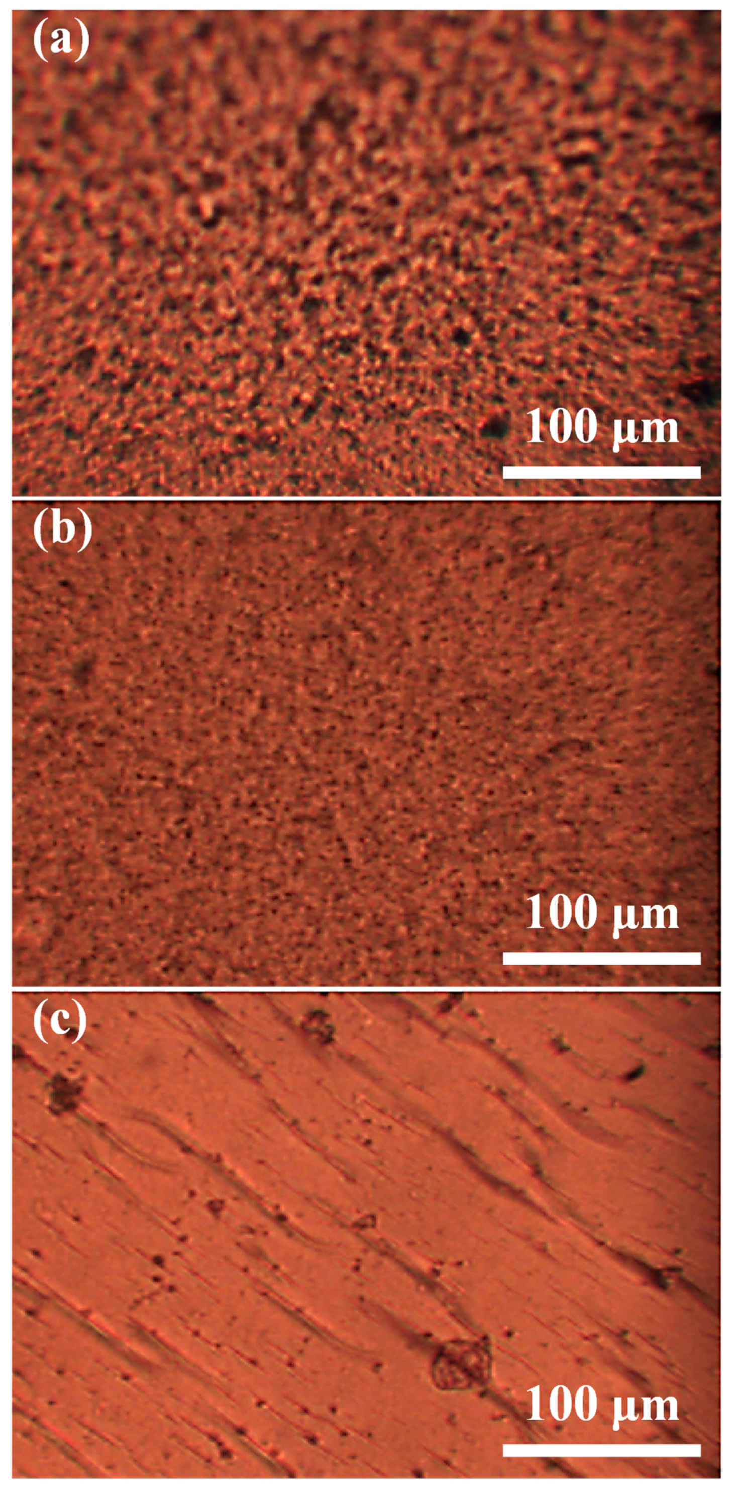 Membranes 15 00102 g004