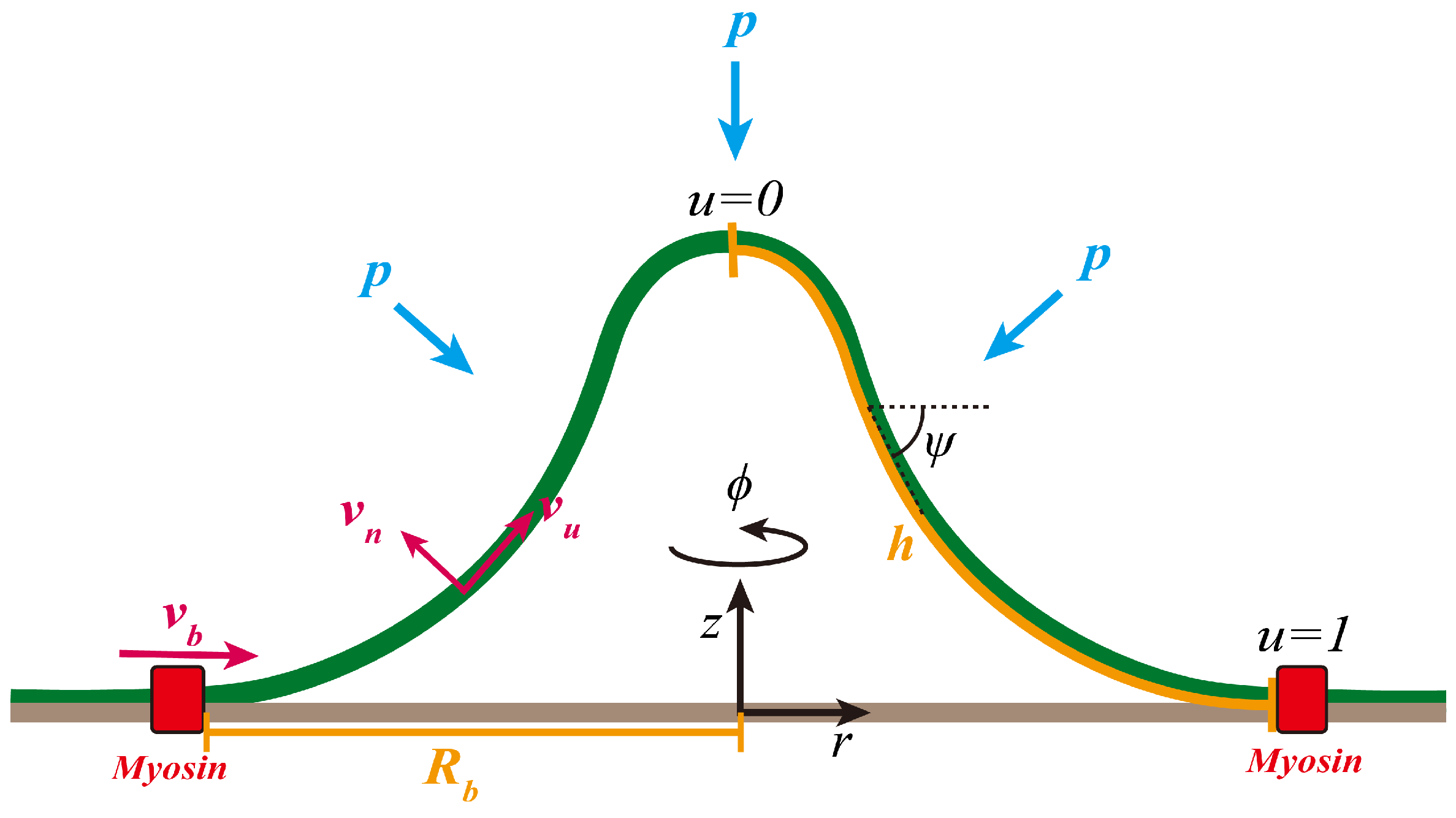 Membranes 15 00106 g001
