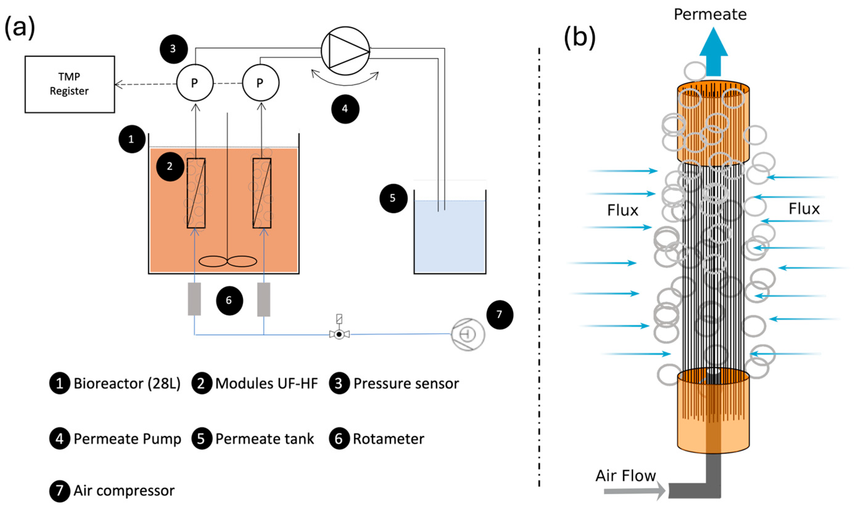 Membranes 15 00111 g001