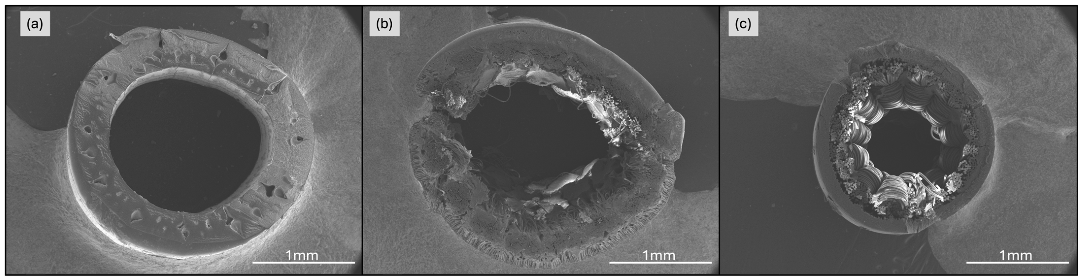 Membranes 15 00111 g002