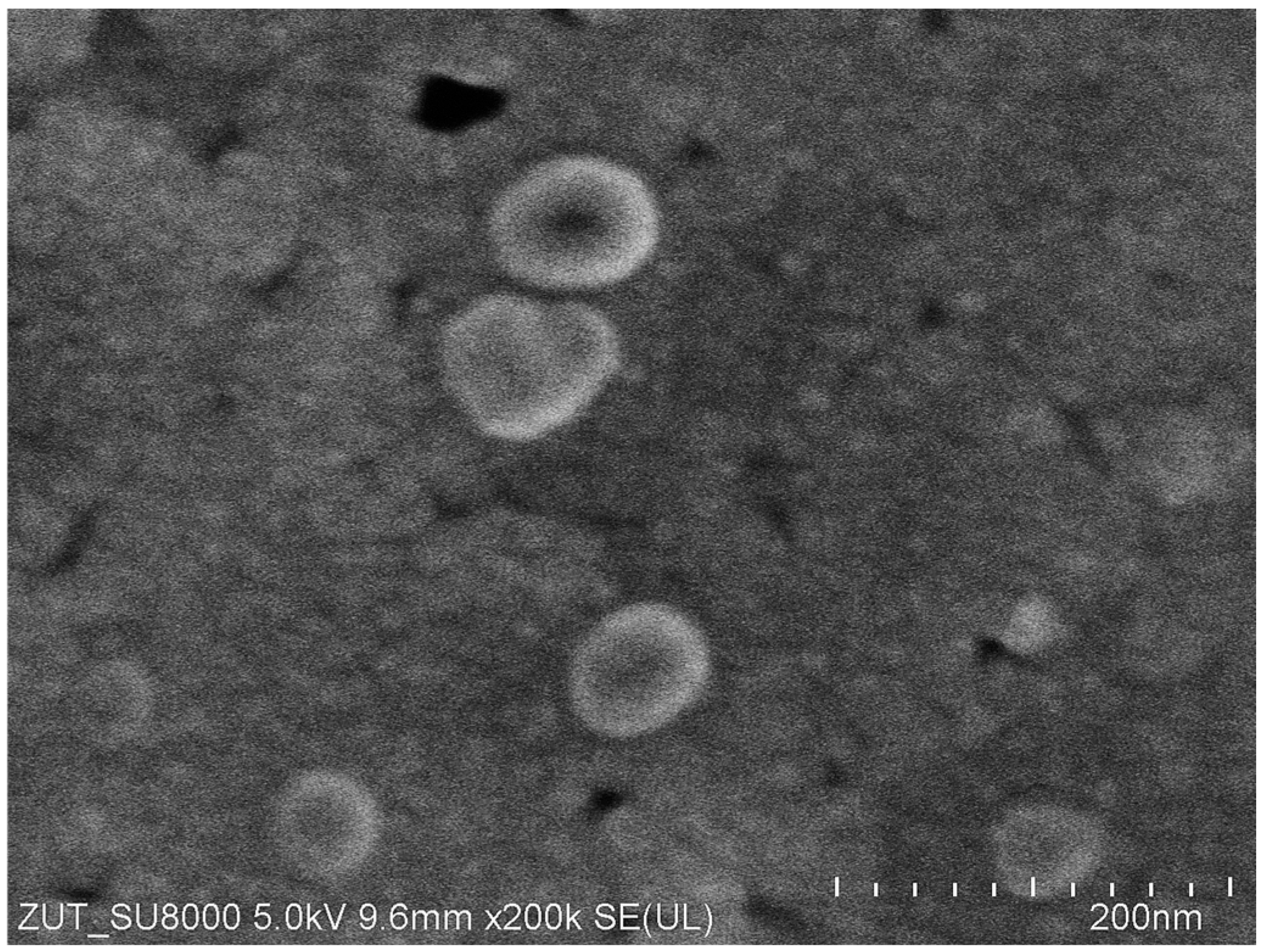 Membranes 15 00119 g002