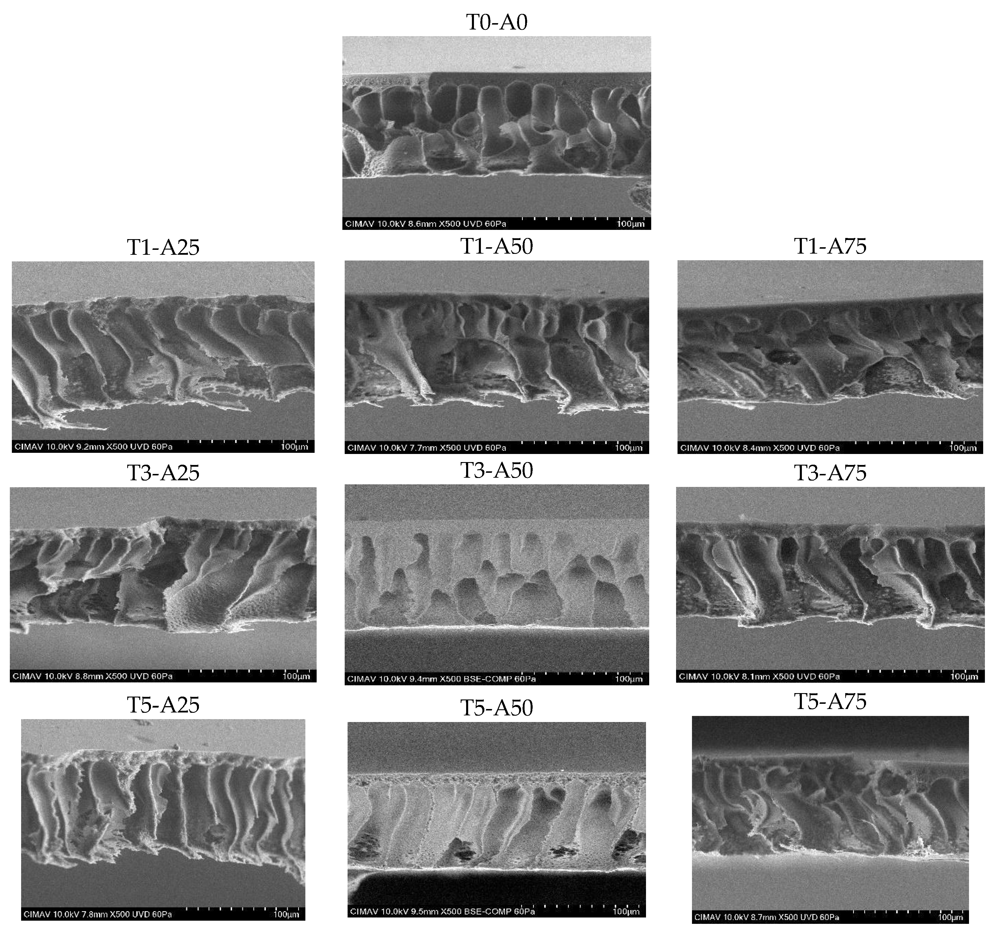 Membranes 15 00120 g006