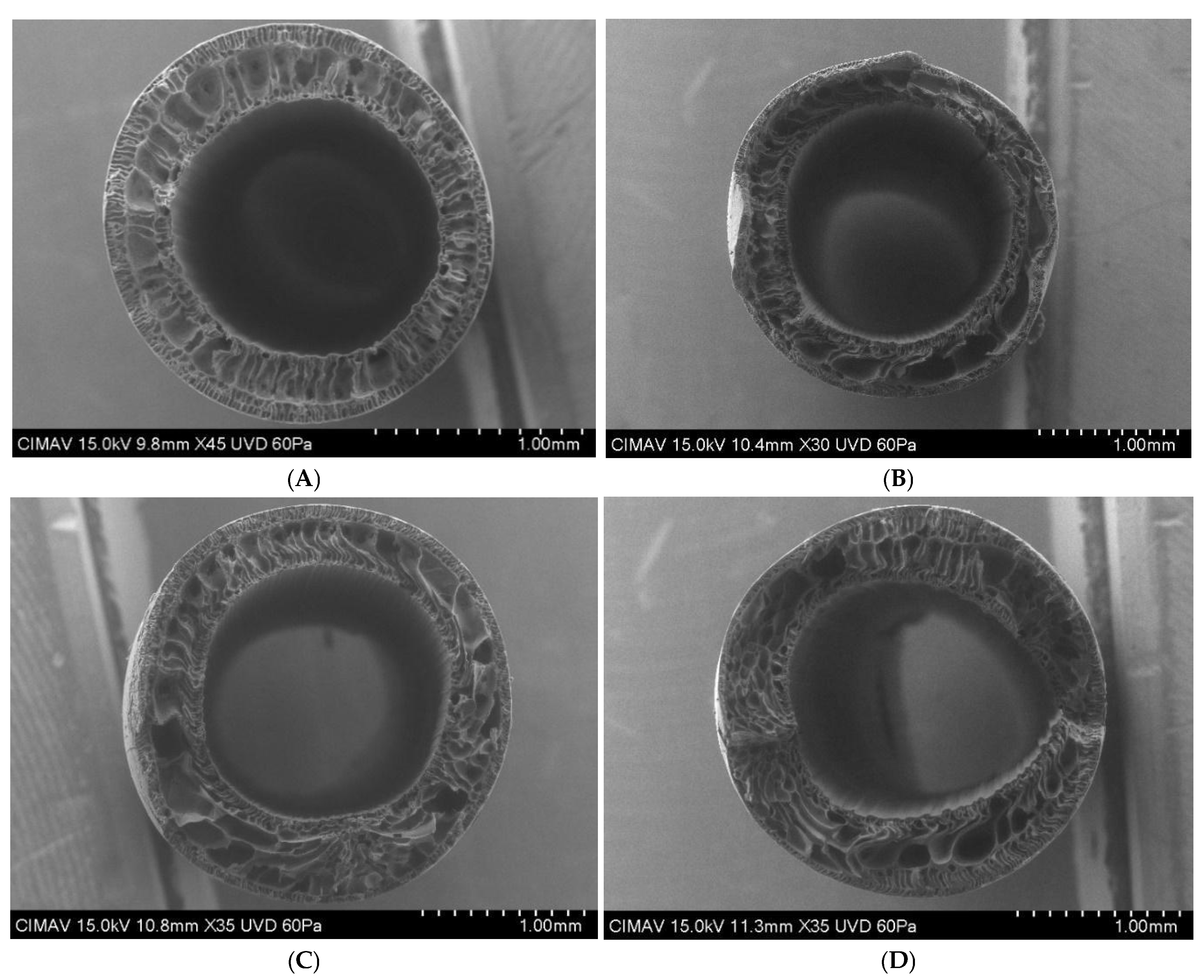 Membranes 15 00120 g008