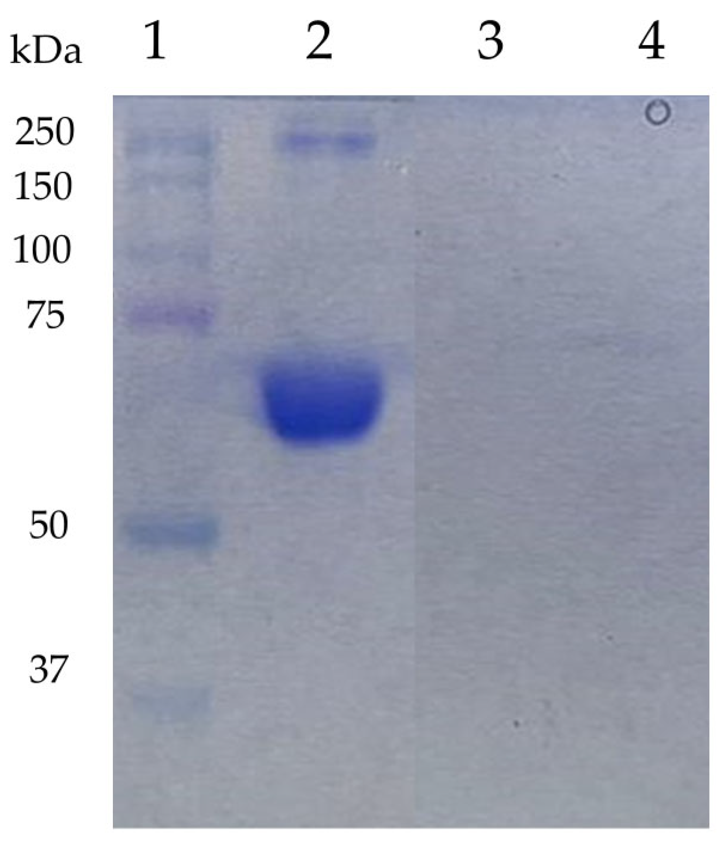 Membranes 15 00120 g0a4
