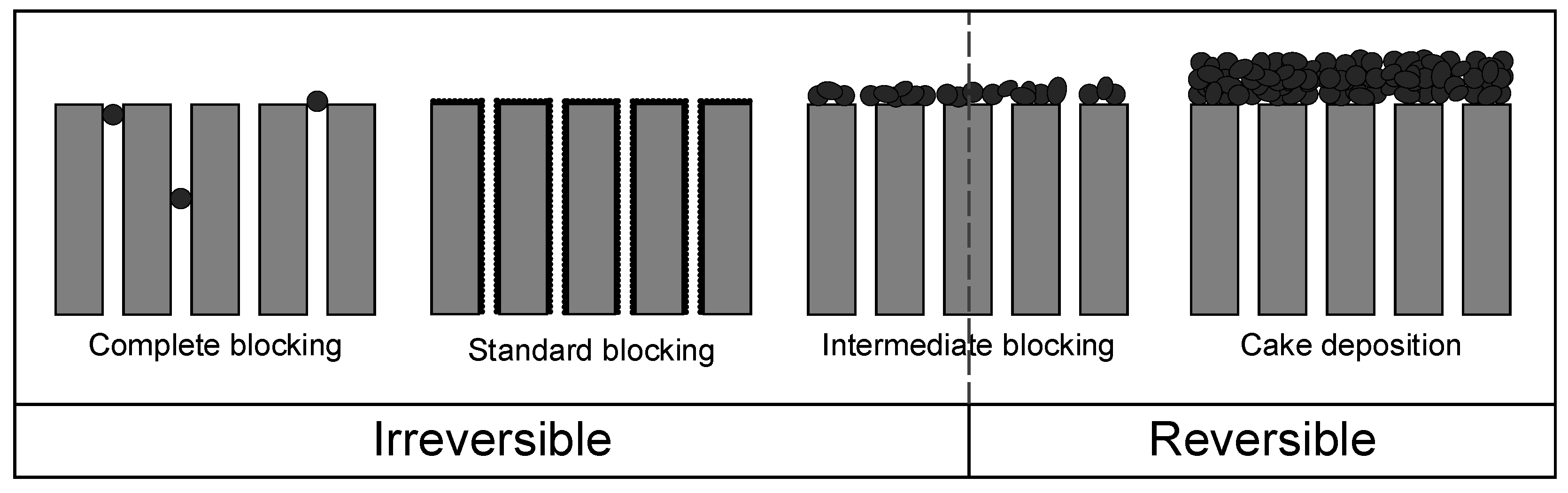 Membranes 15 00121 g001