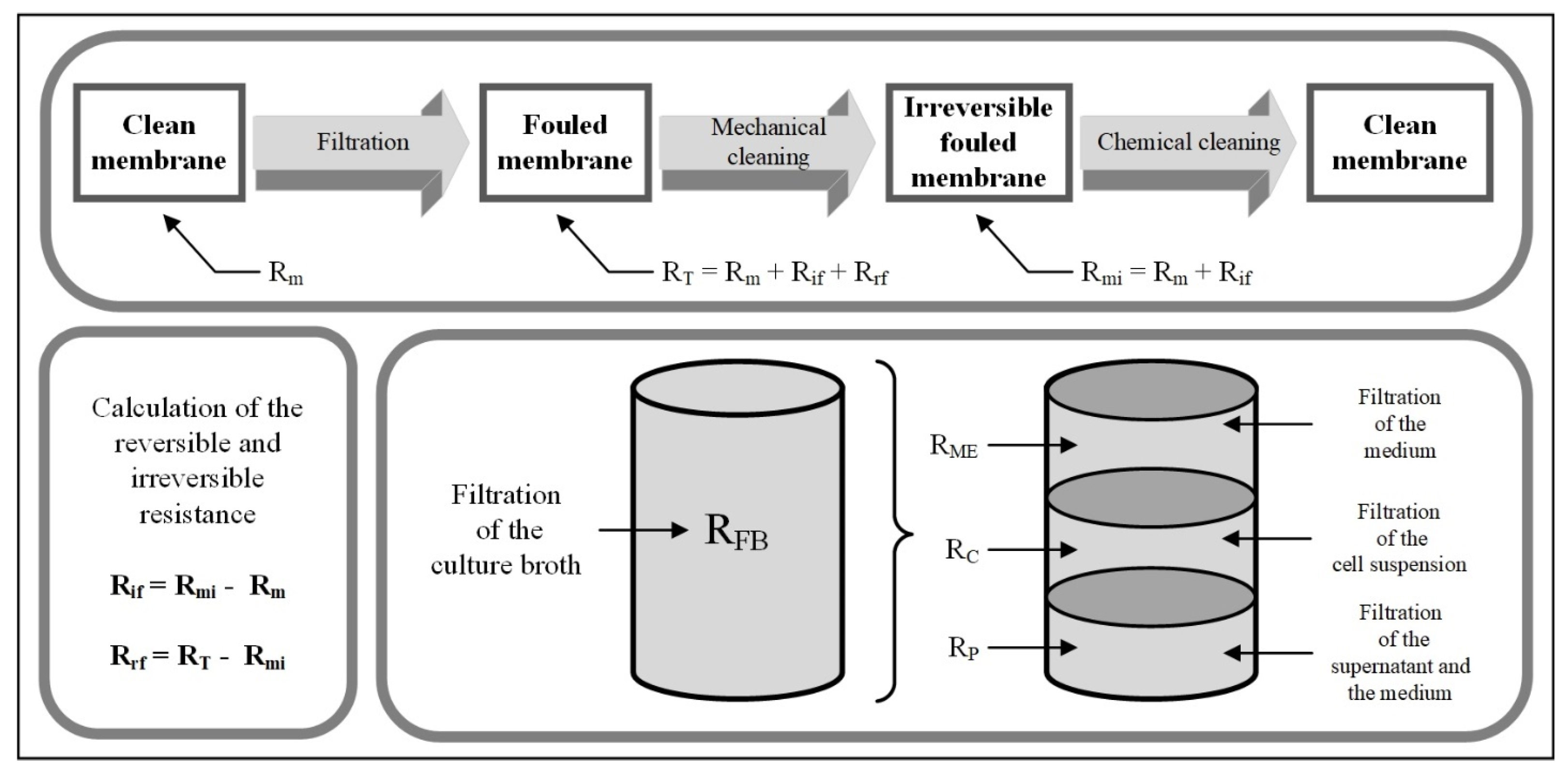 Membranes 15 00121 g003