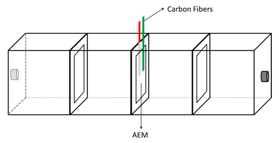 Electrochemical Characterization and Simulation of Ion