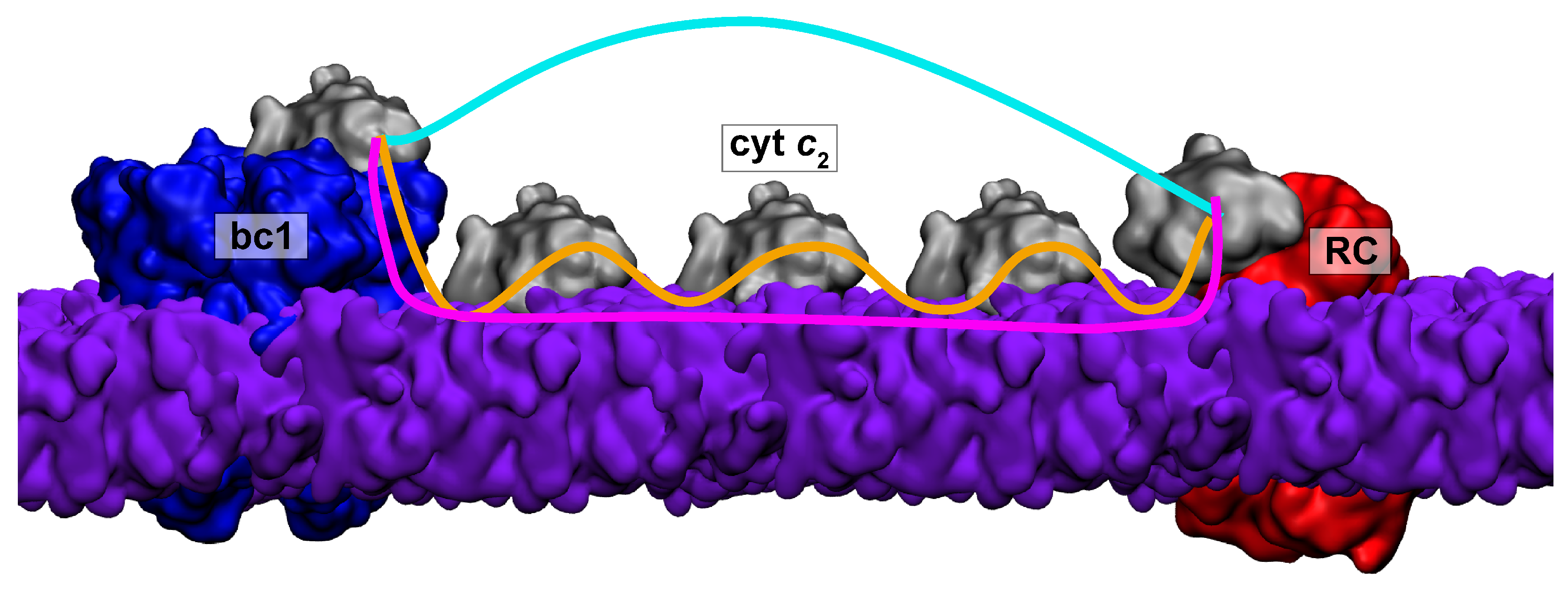 Membranes 15 00124 g001
