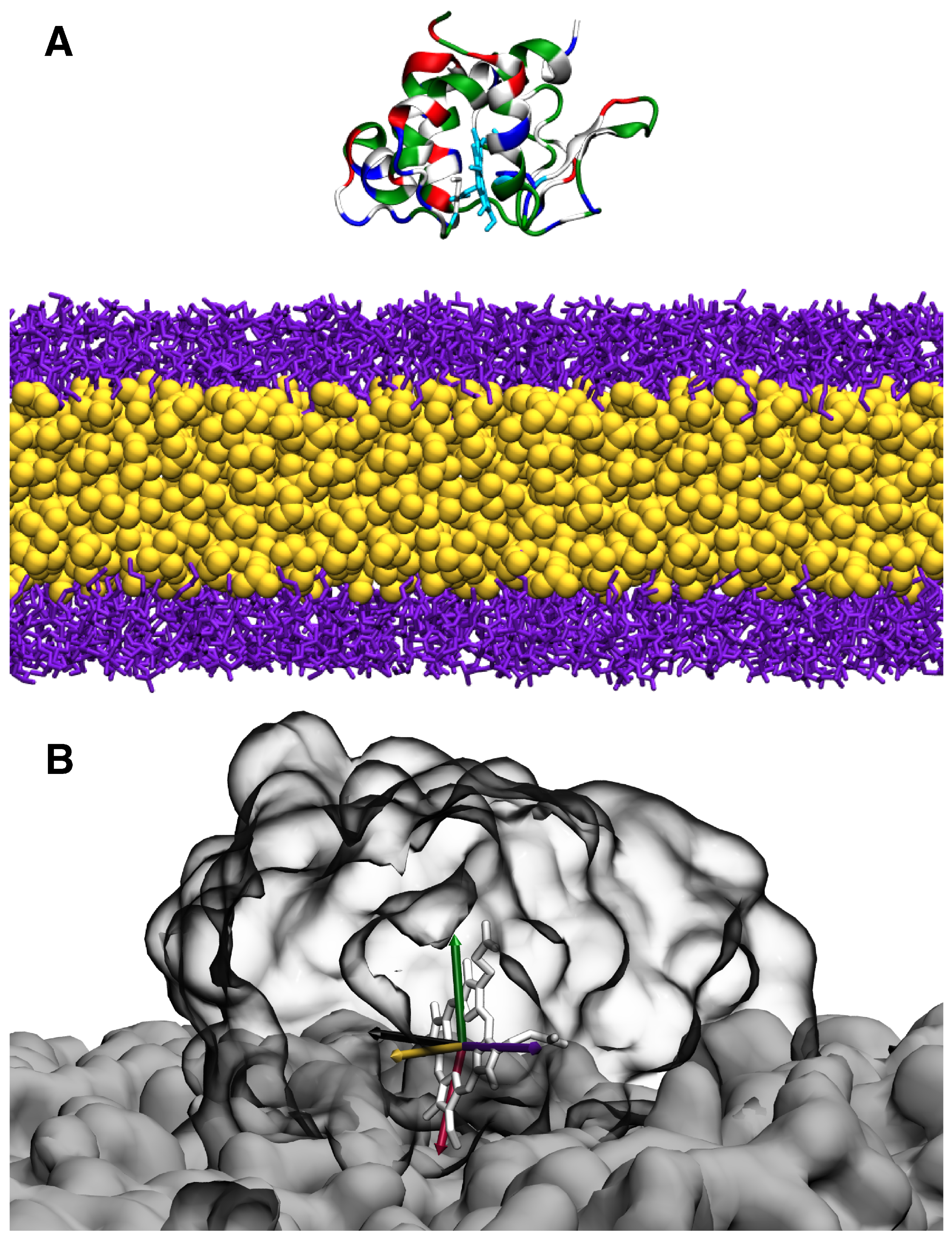 Membranes 15 00124 g003