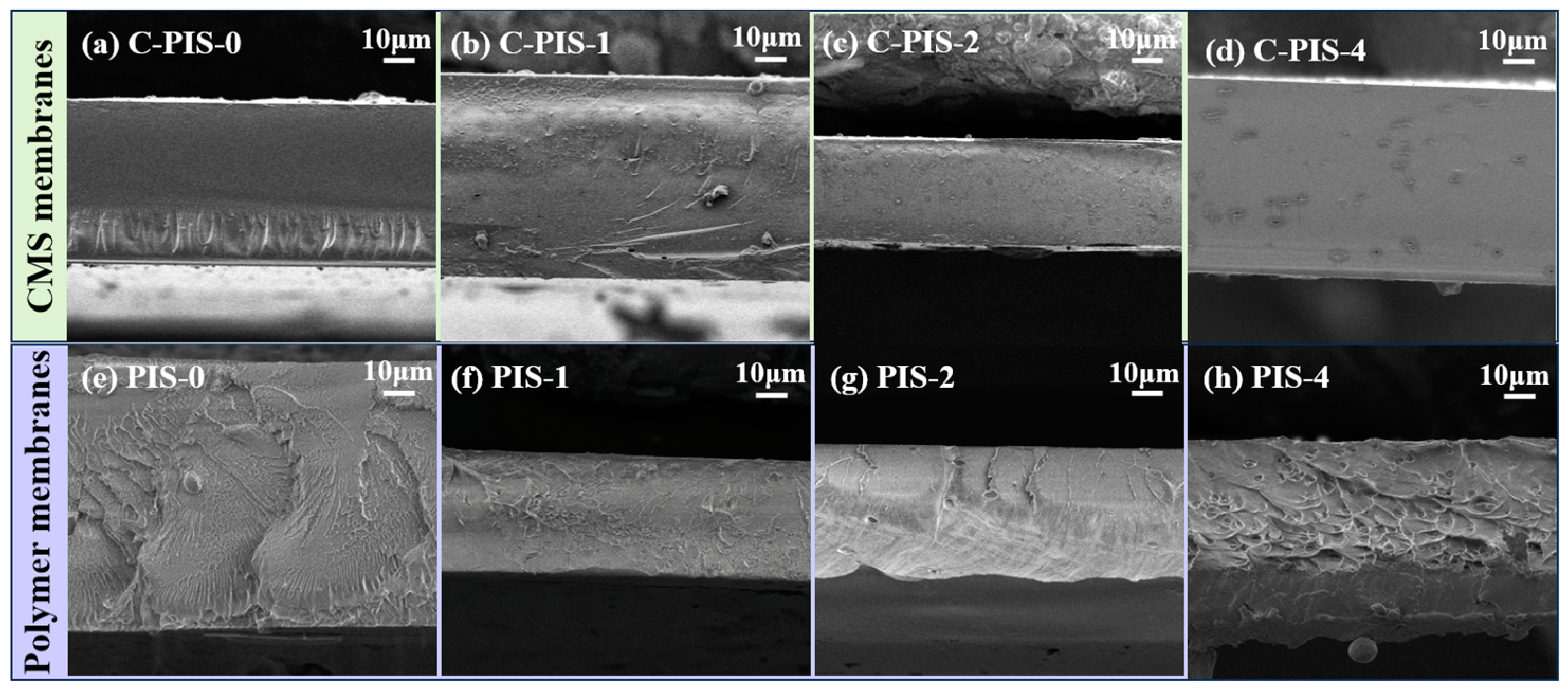 Membranes 15 00128 g005