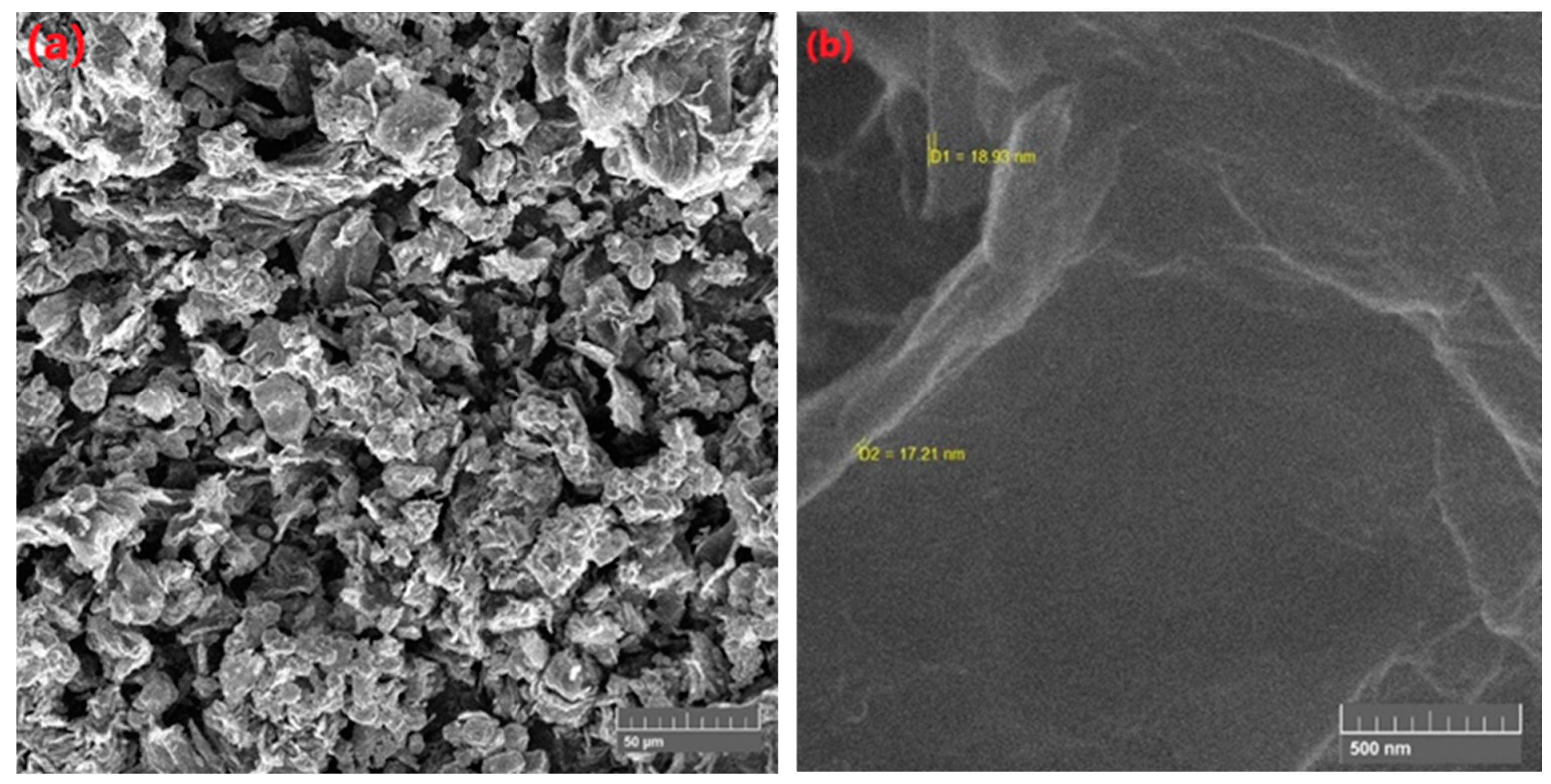 Membranes 15 00131 g005